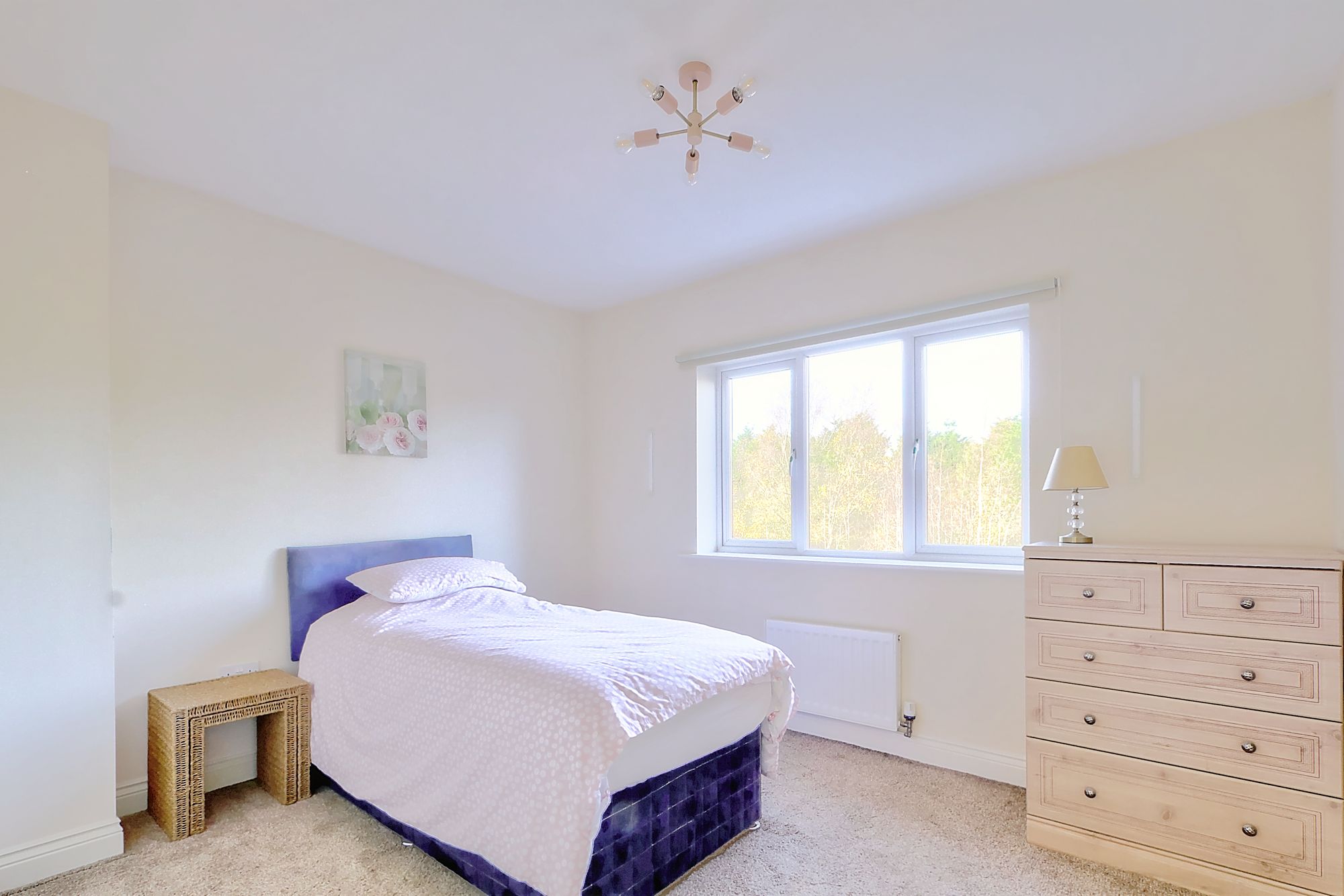 _MG_4233_4_5_Enhancer