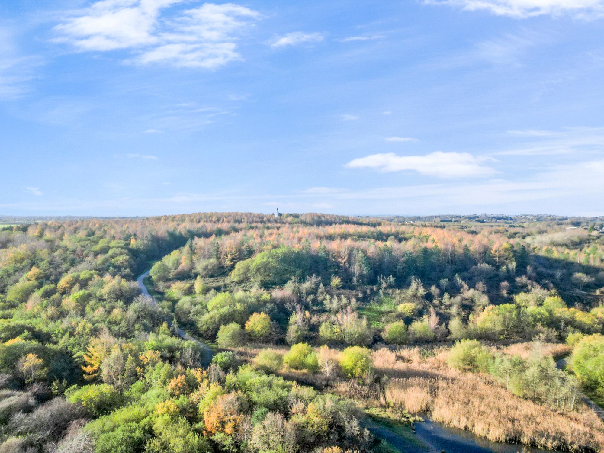Abbots Hall Avenue, Clock Face, WA9