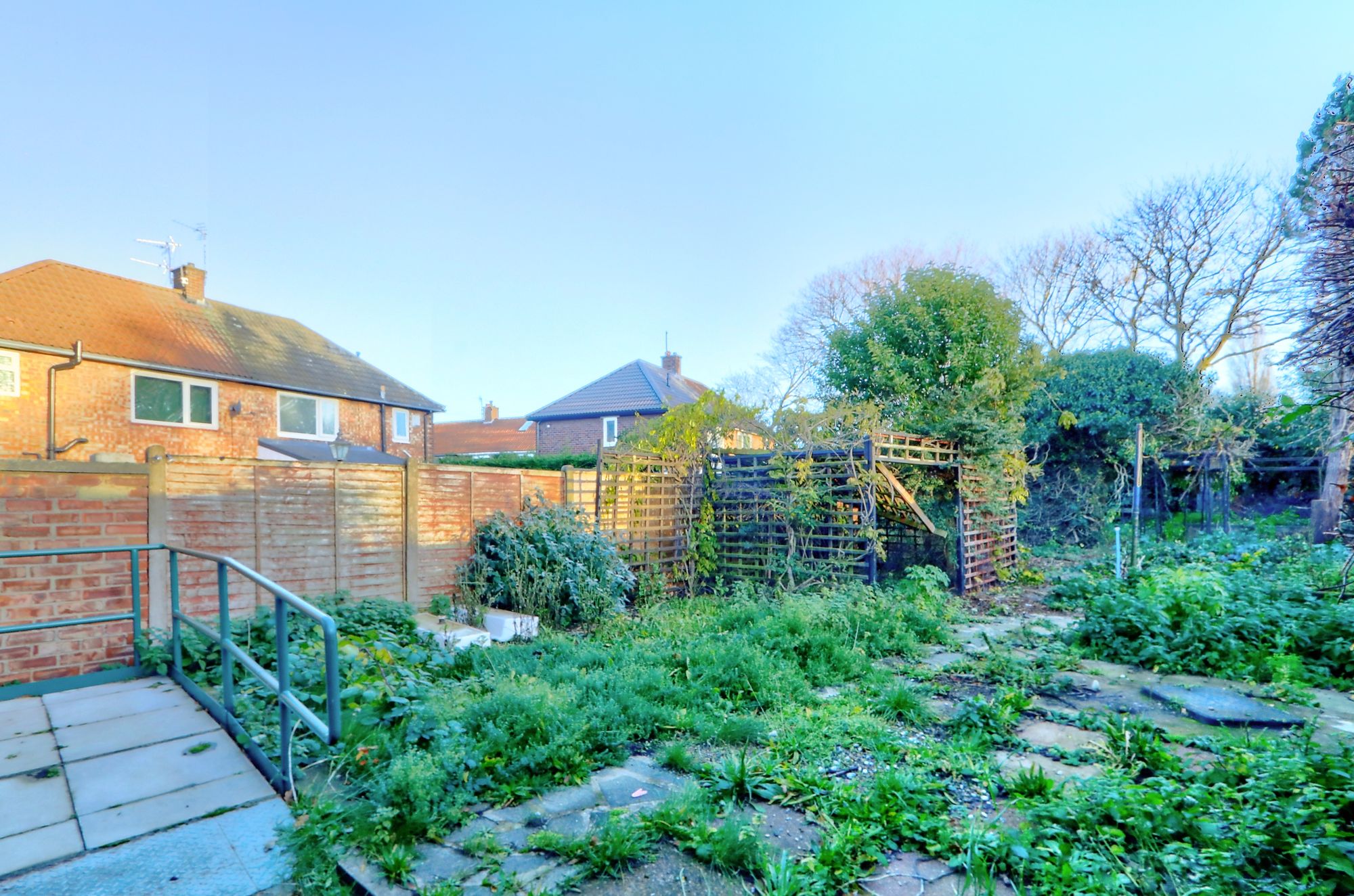 _MG_5023_4_5_Enhancer