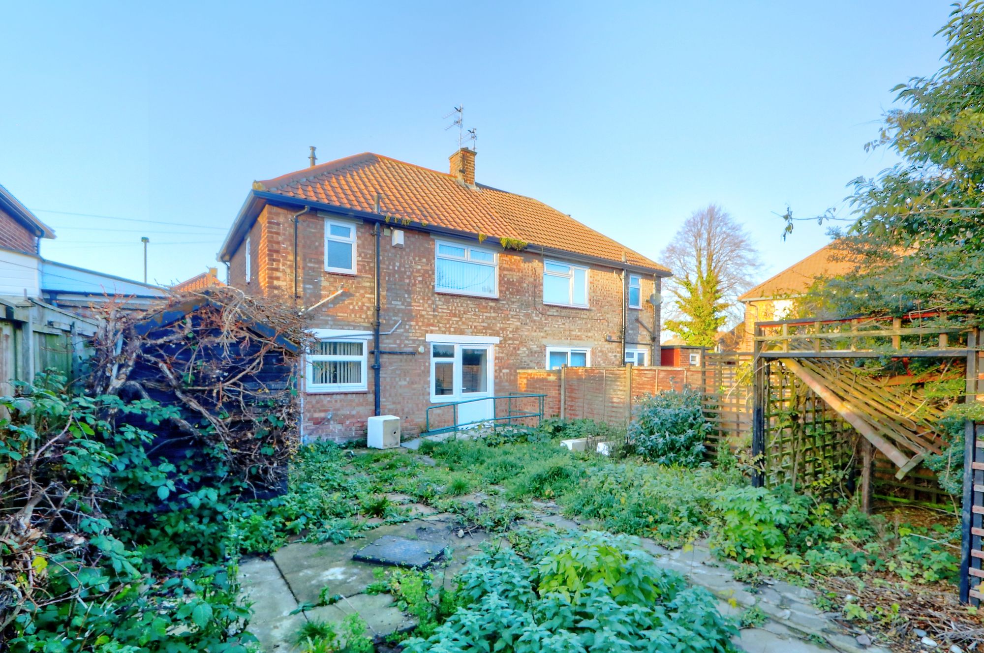 _MG_5038_39_40_Enhancer