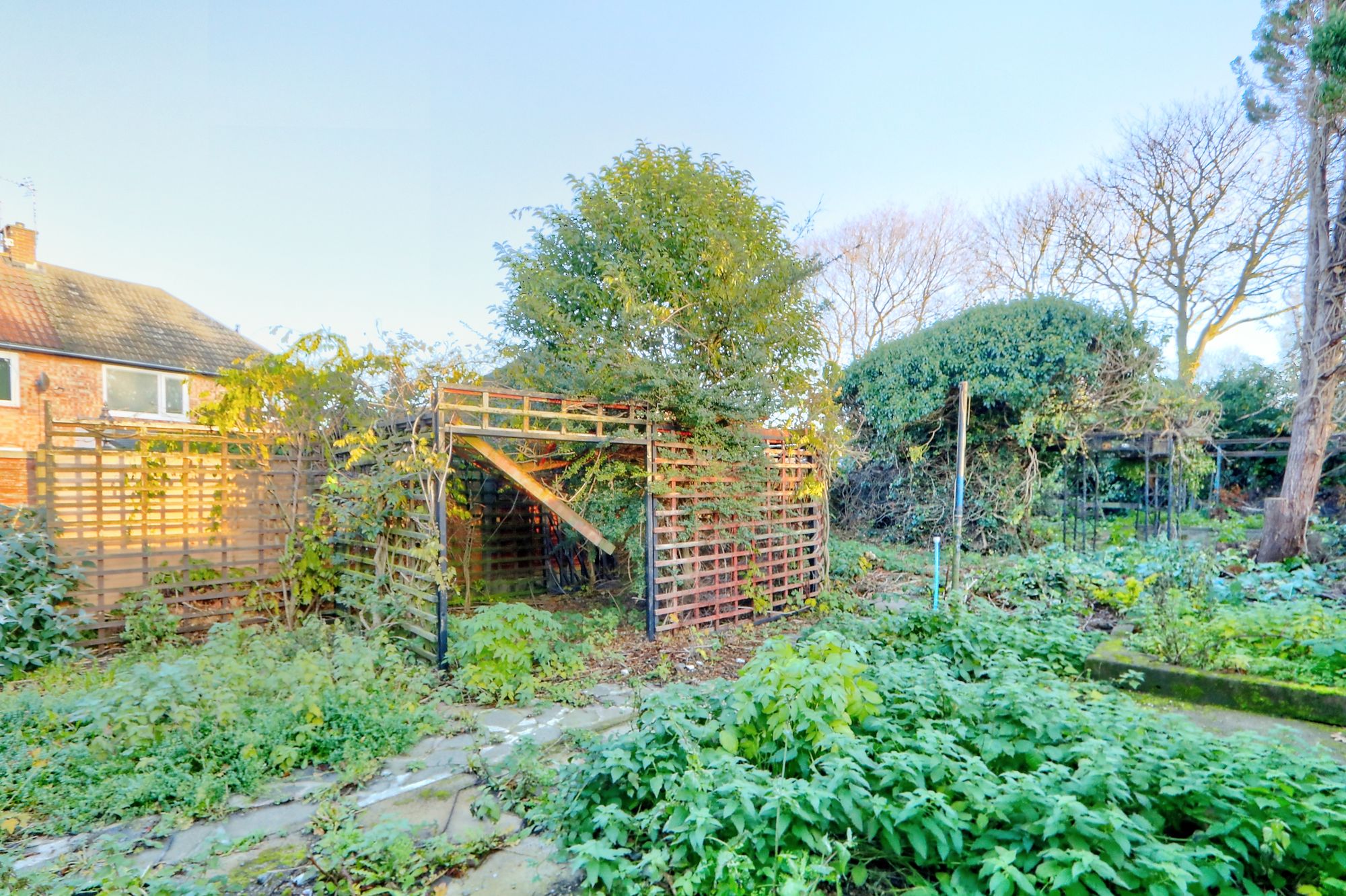 _MG_5026_7_8_Enhancer