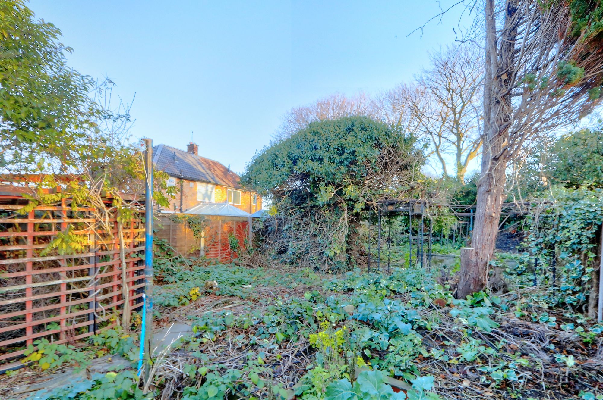 _MG_5035_6_7_Enhancer