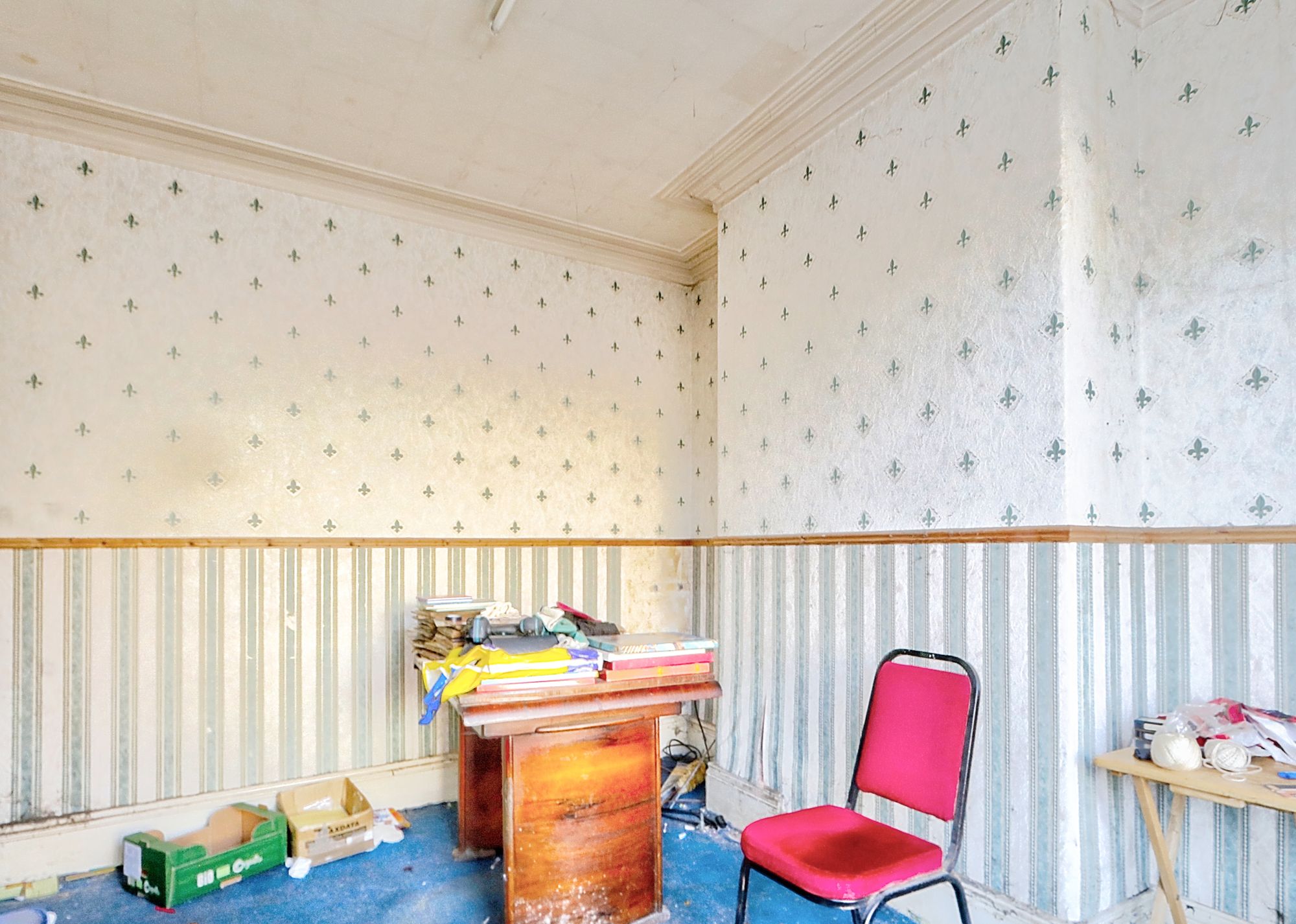 _MG_5101_2_3_Enhancer