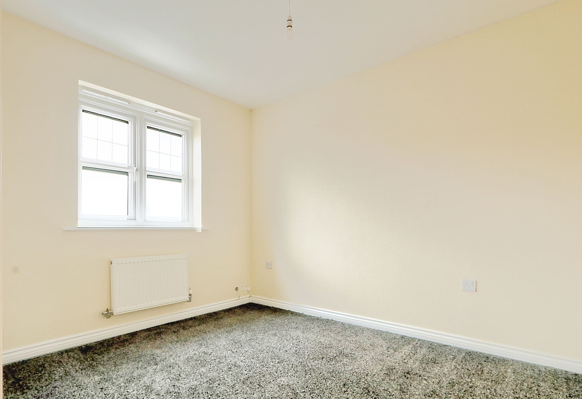 _MG_5233_4_5_Enhancer