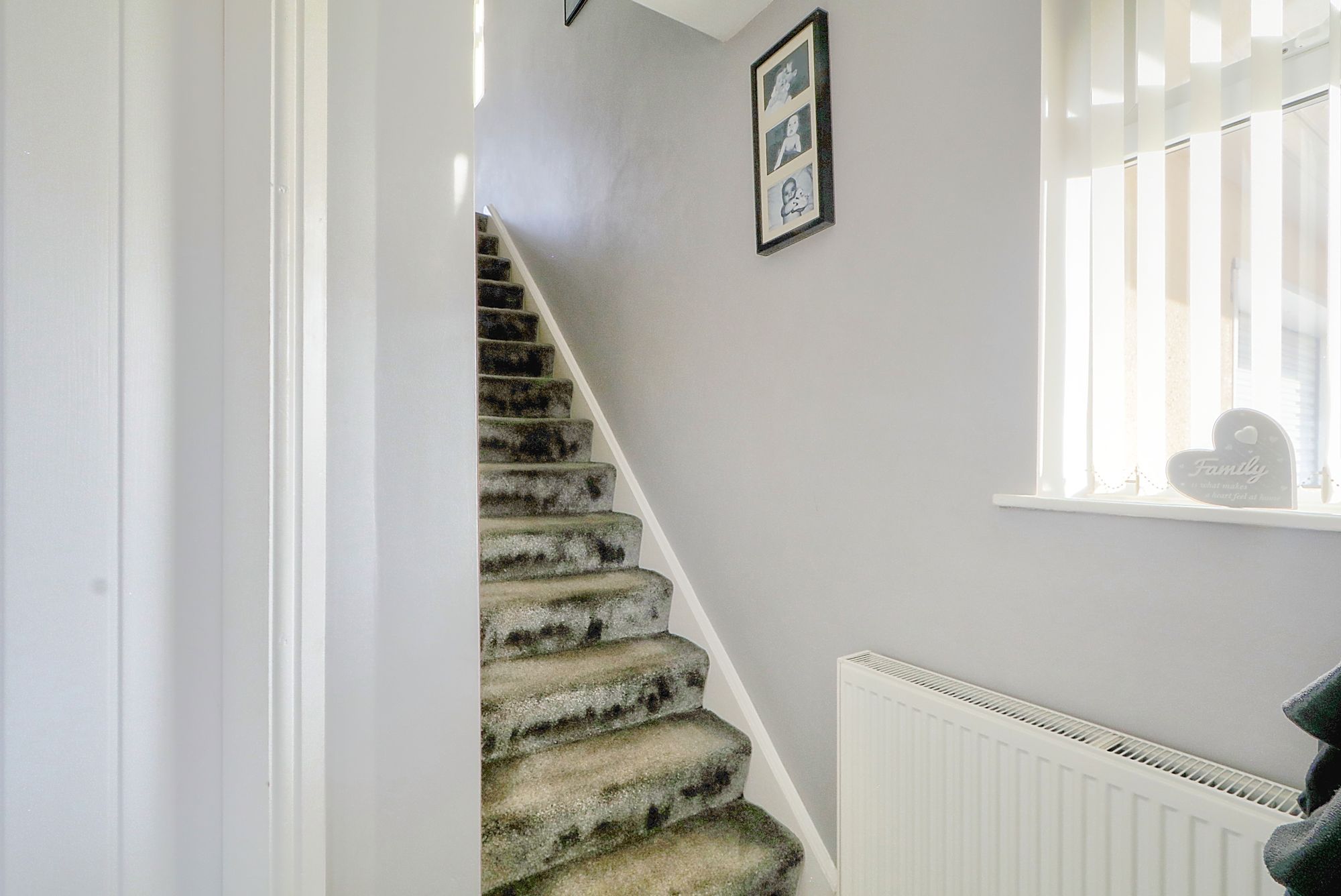 _MG_5404_5_6_Enhancer