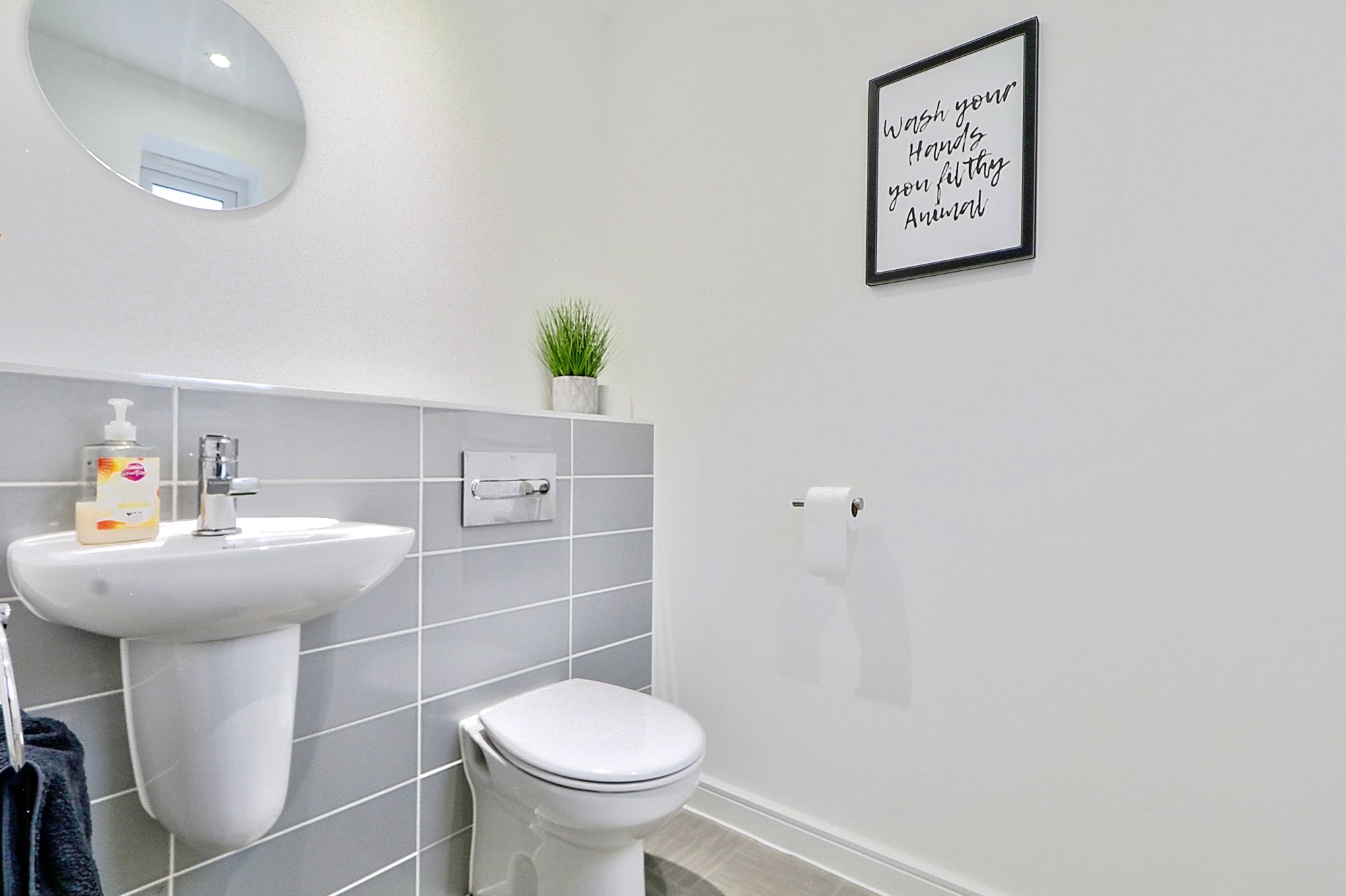 _MG_6109_10_11_Optimizer