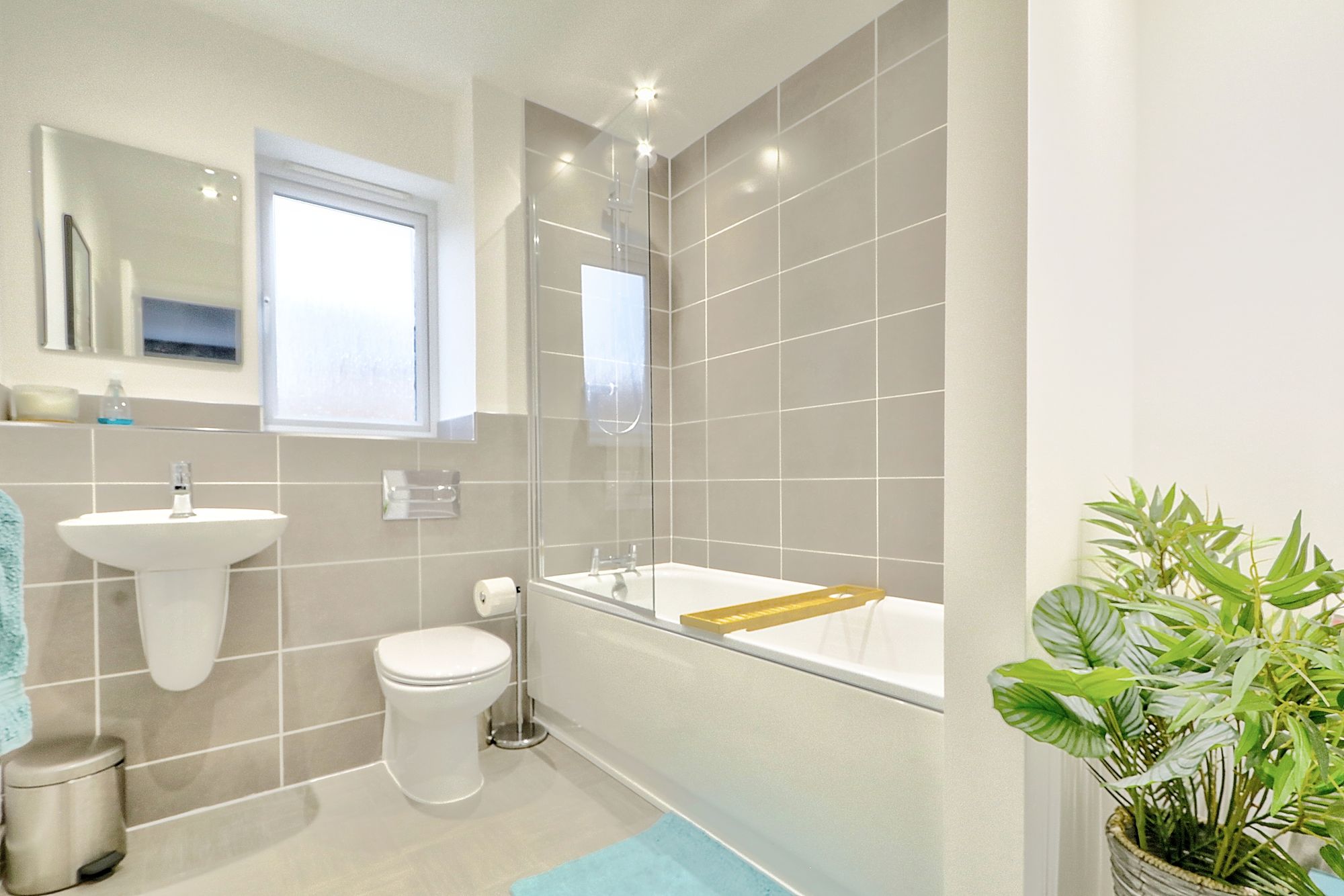 _MG_5977_8_9_Enhancer