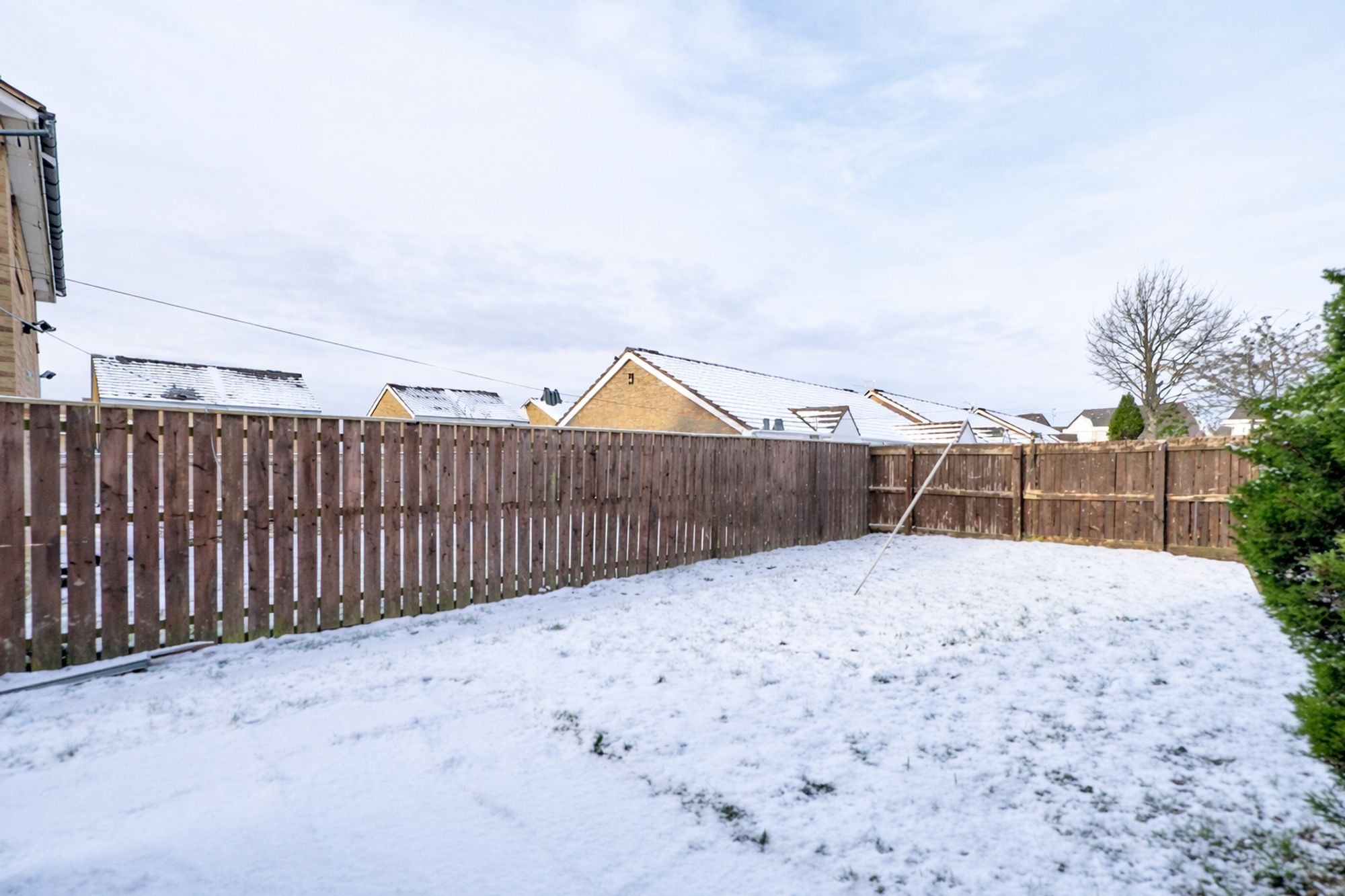 1fa8498c-b1c2-4ae8-b00d-067d58e47388