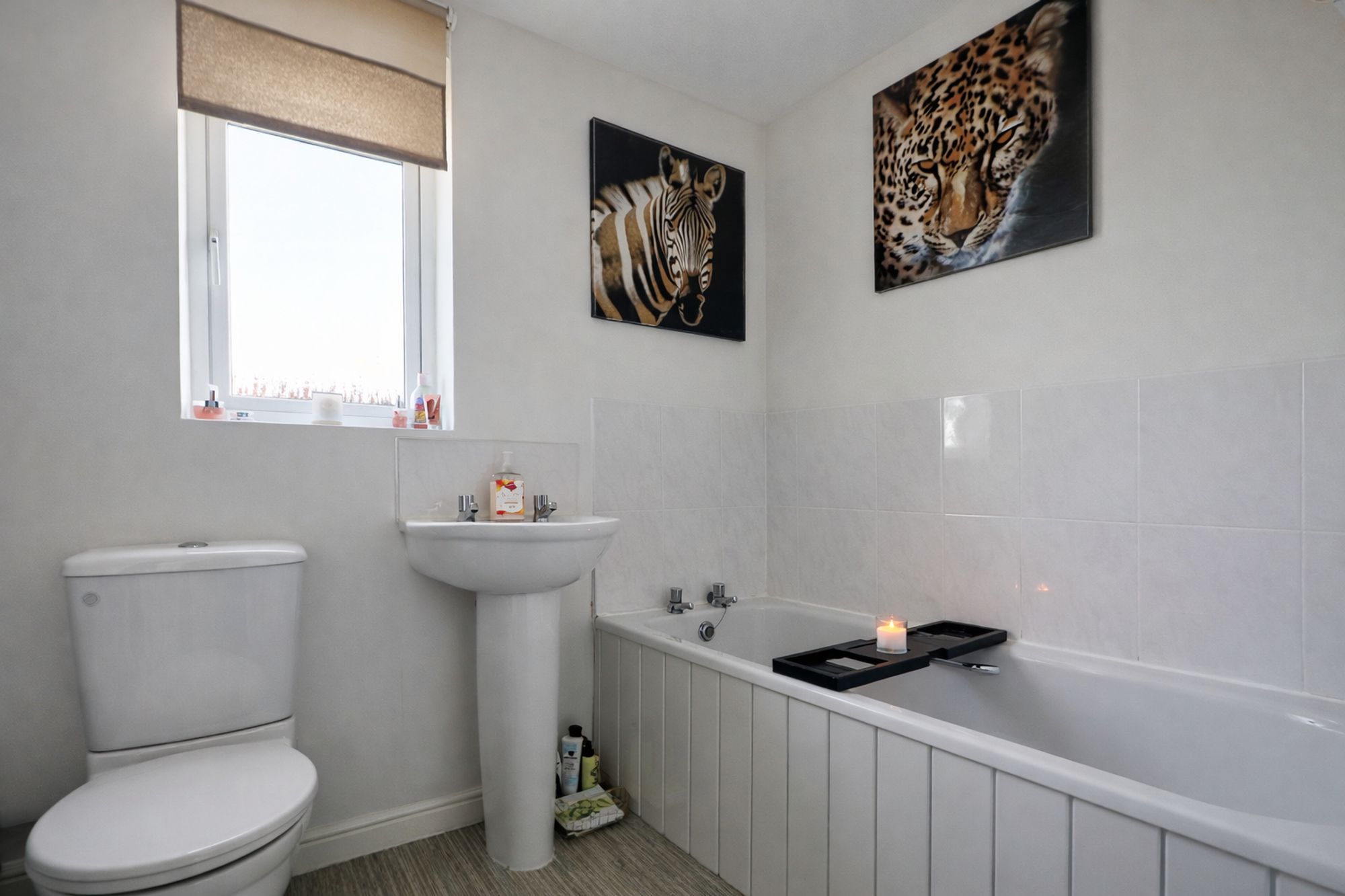 0a49793a-d7a6-4f38-9299-62c25ef58a19