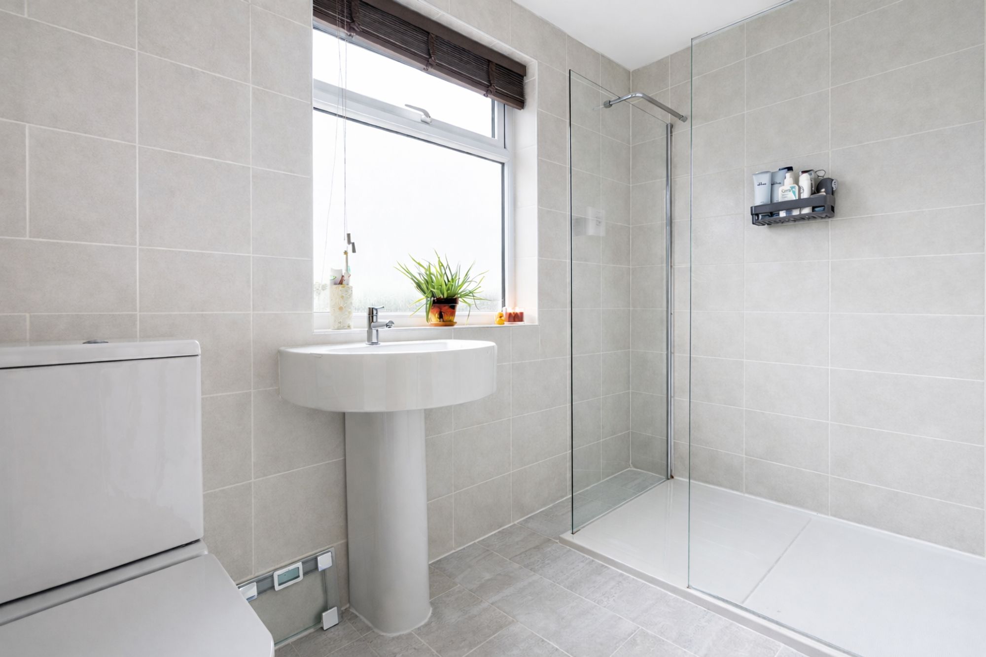 f22d88f5-fdc1-4aed-9ca7-e2b810d75e1b