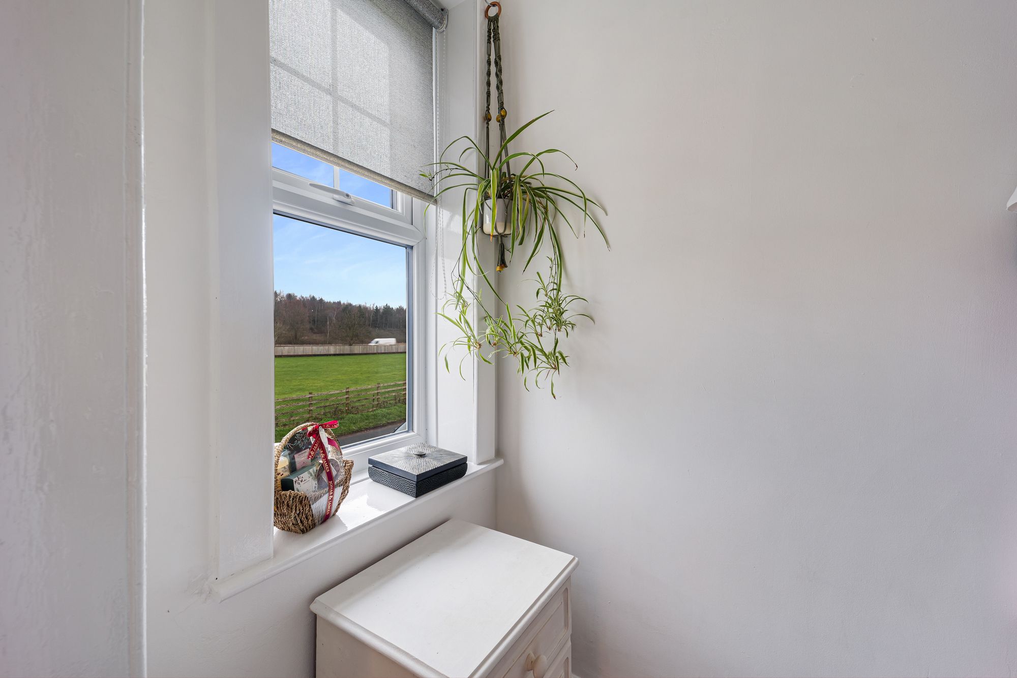 Union Bank Lane, Widnes