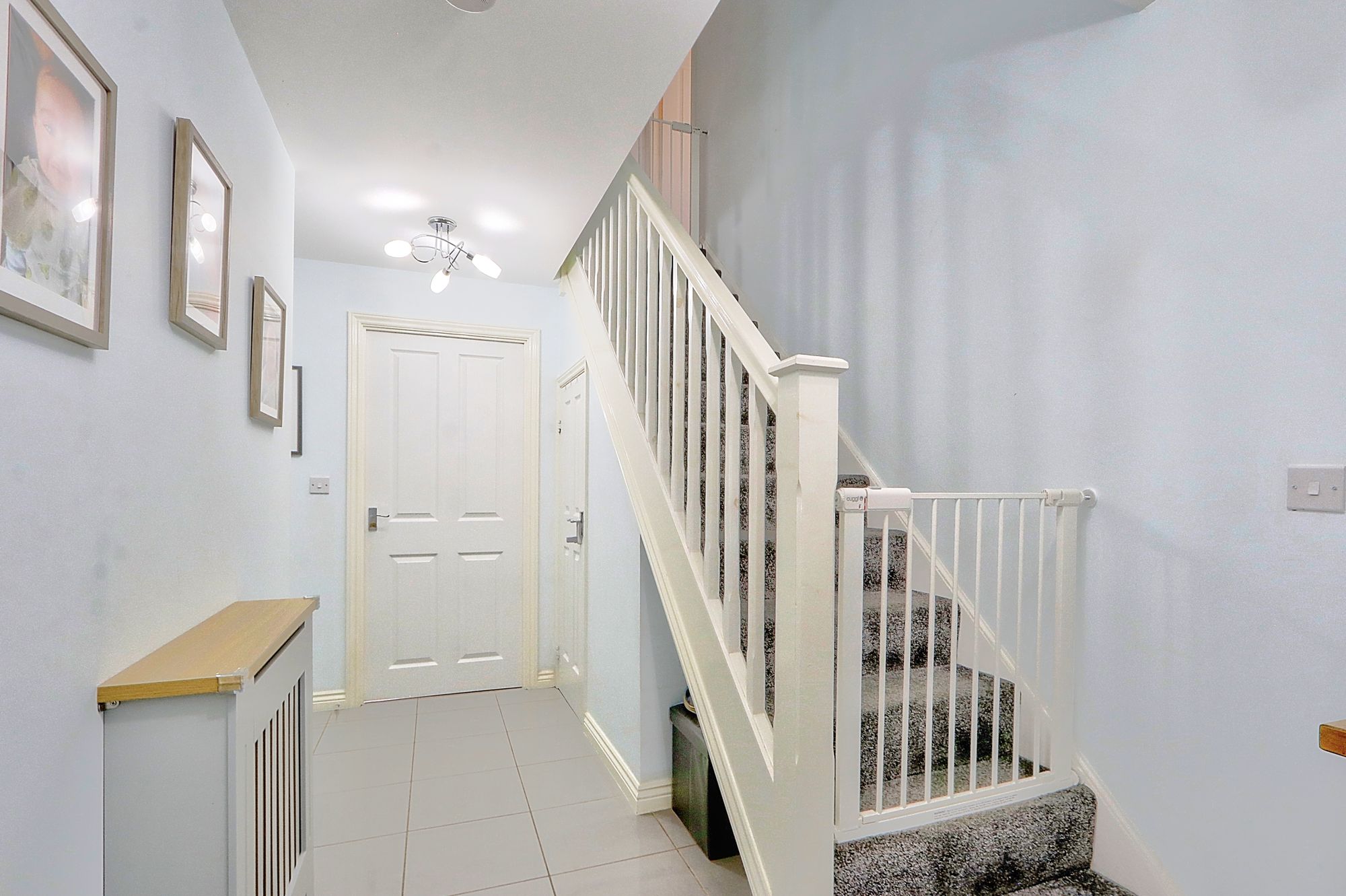 _MG_1929_30_31_Enhancer