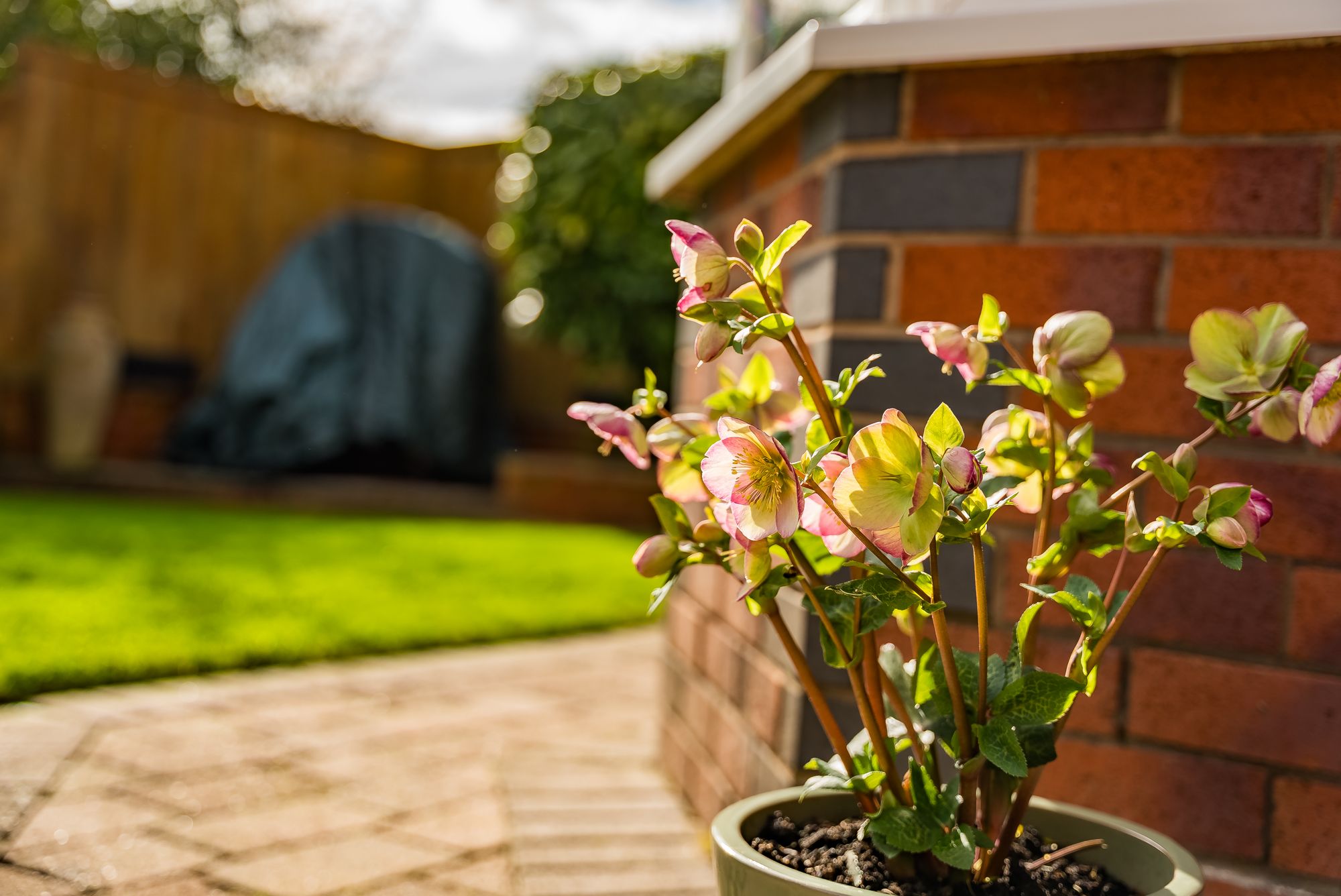 Sandstone Close, Prescot