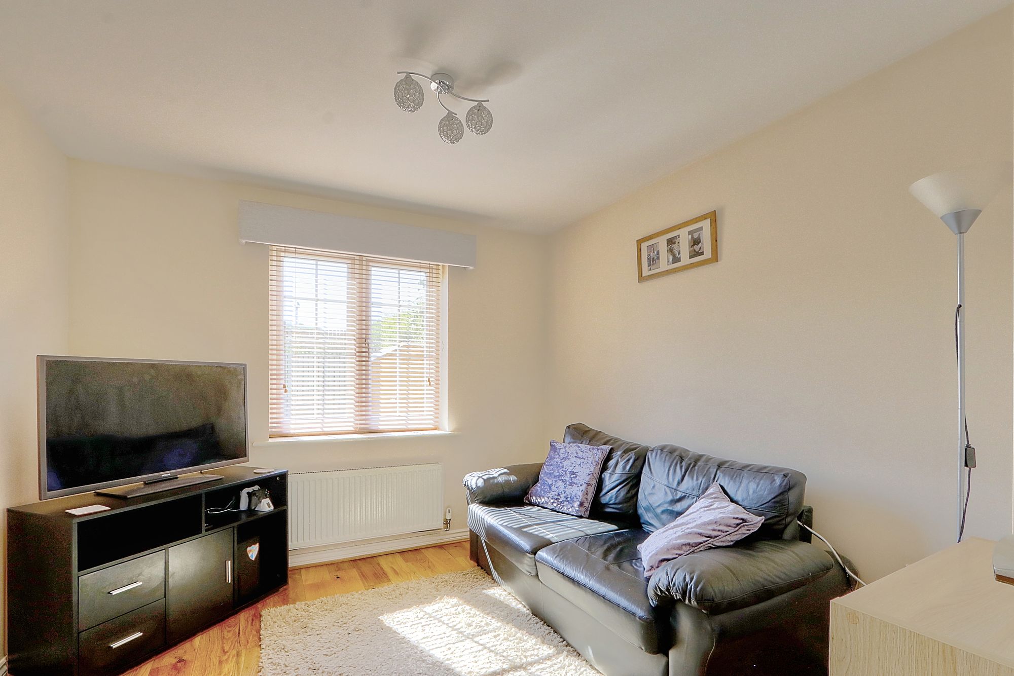 _MG_9740_1_2_Enhancer