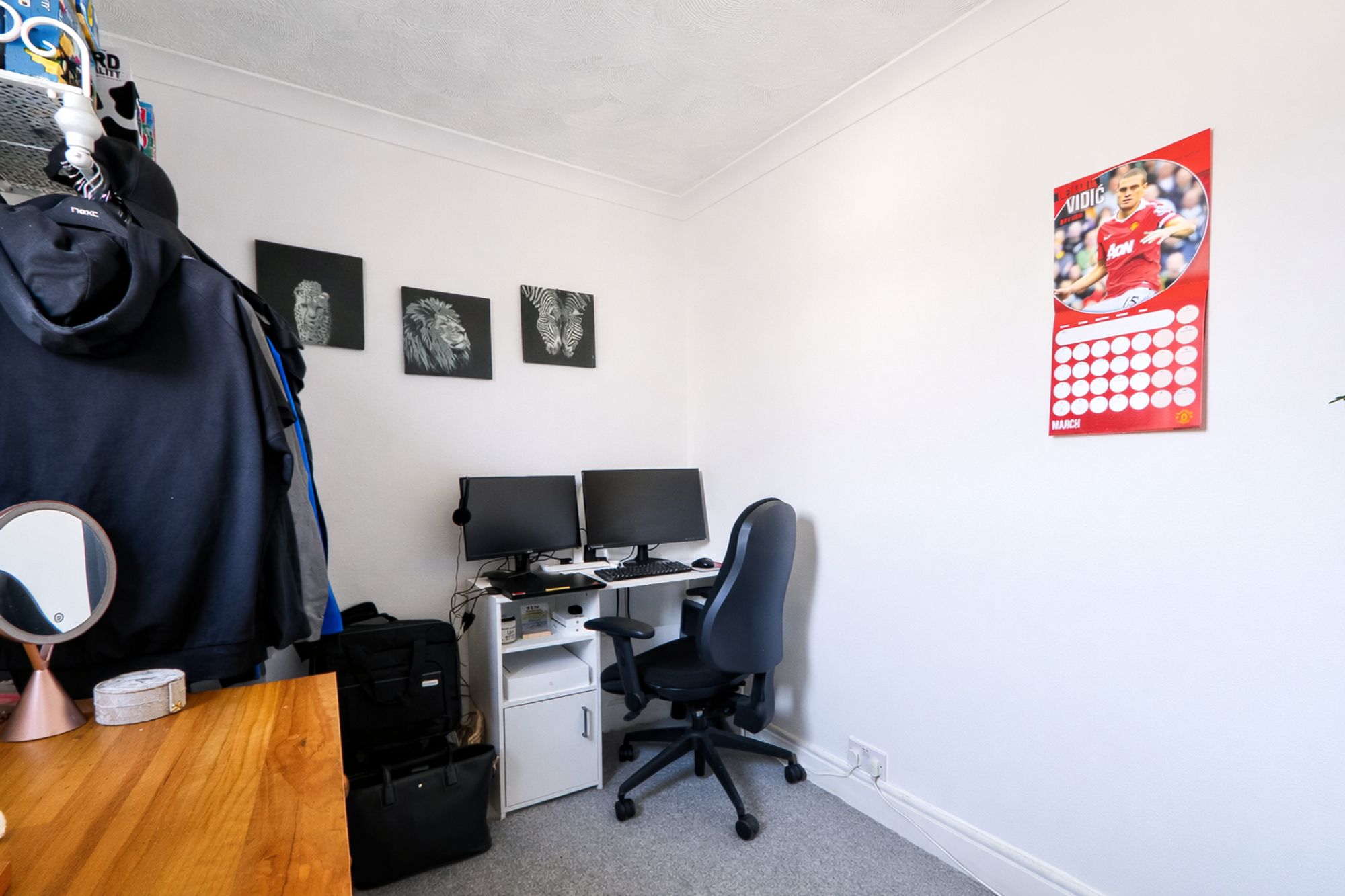 0e4e0b77-0769-4828-8b4c-285761c4bf40