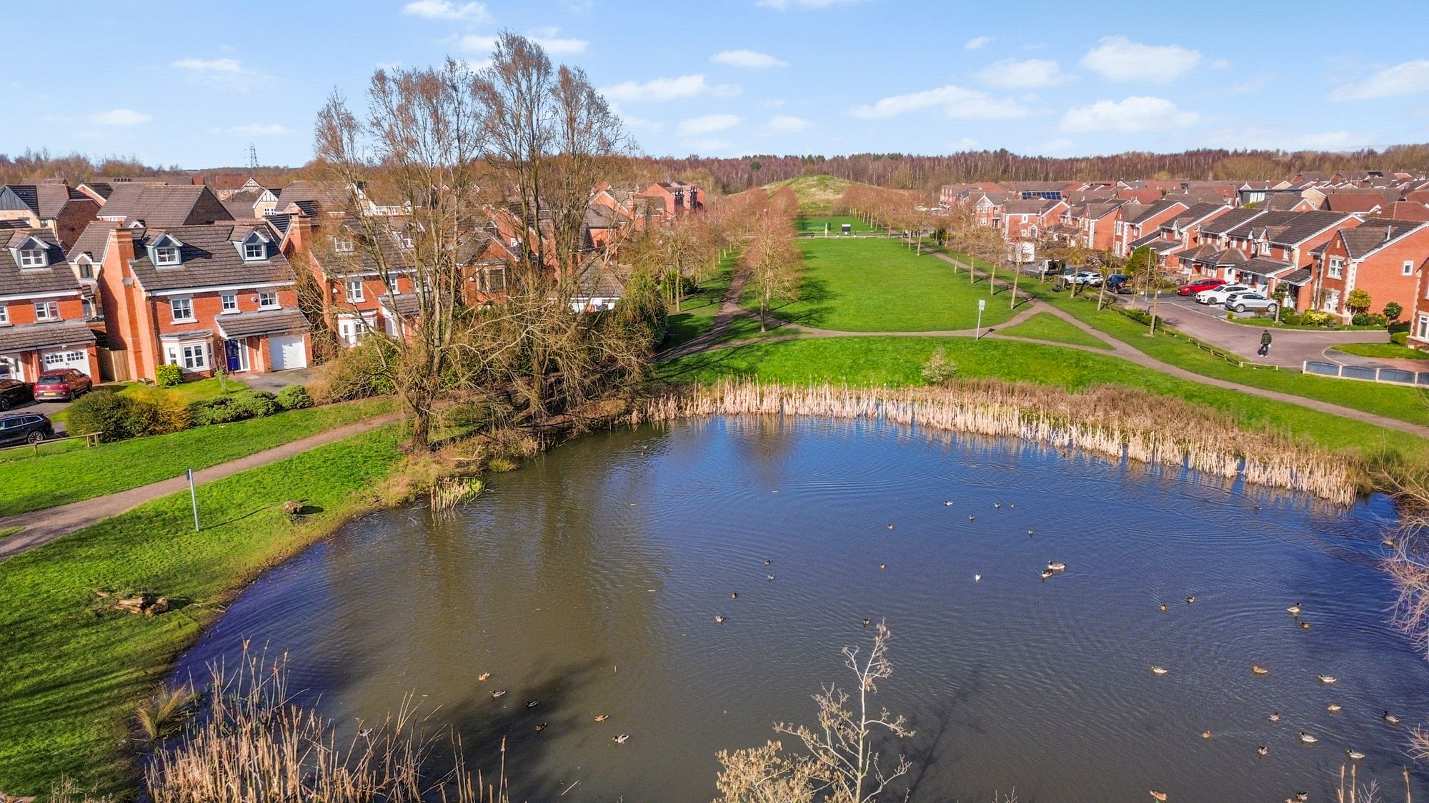 Begonia Gardens, St. Helens, WA9