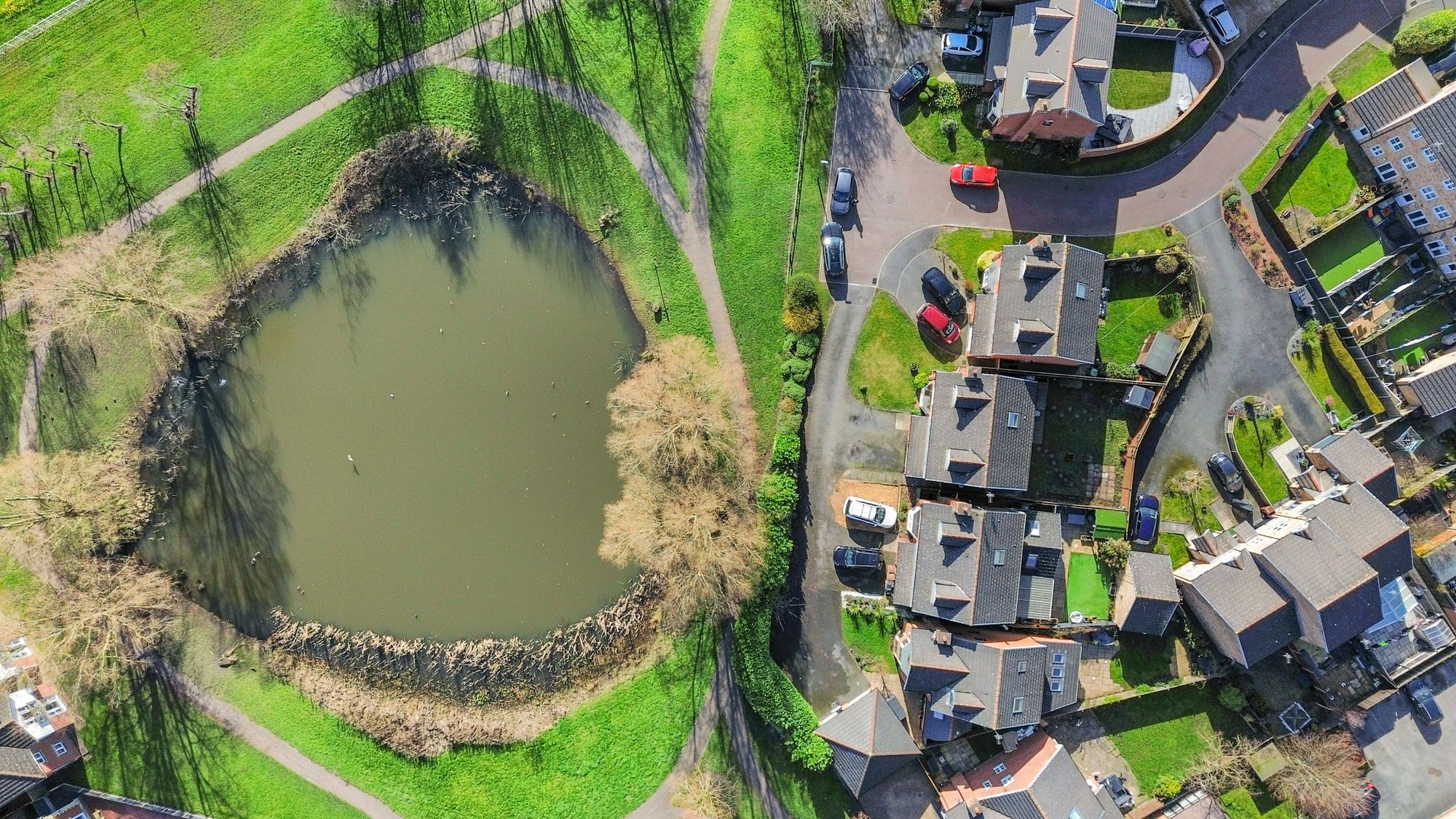 Begonia Gardens, St. Helens, WA9