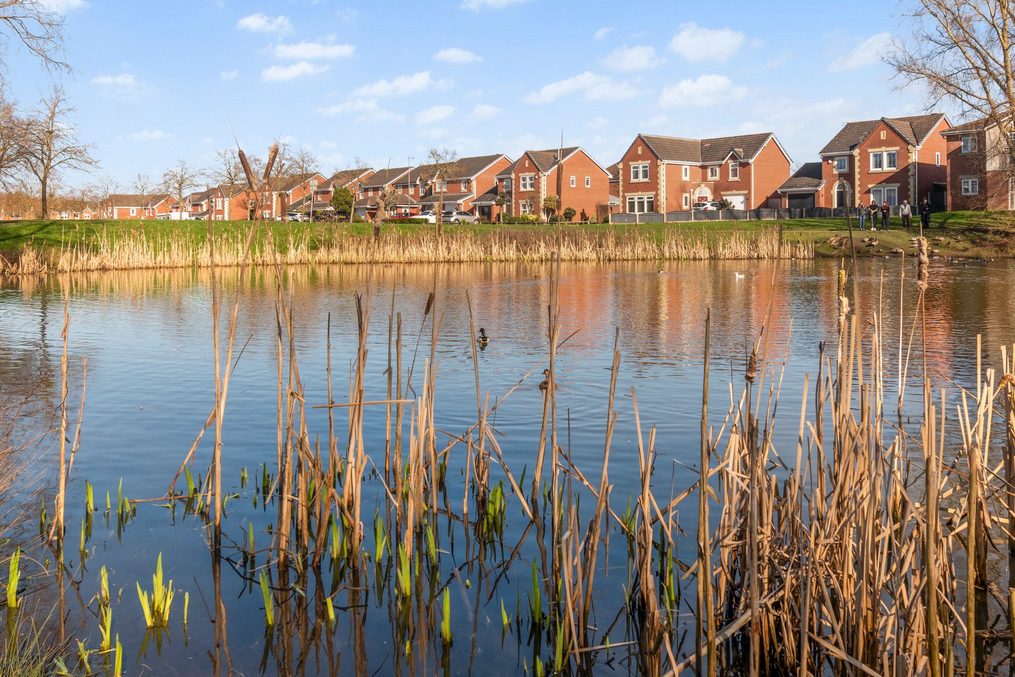 Begonia Gardens, St. Helens, WA9