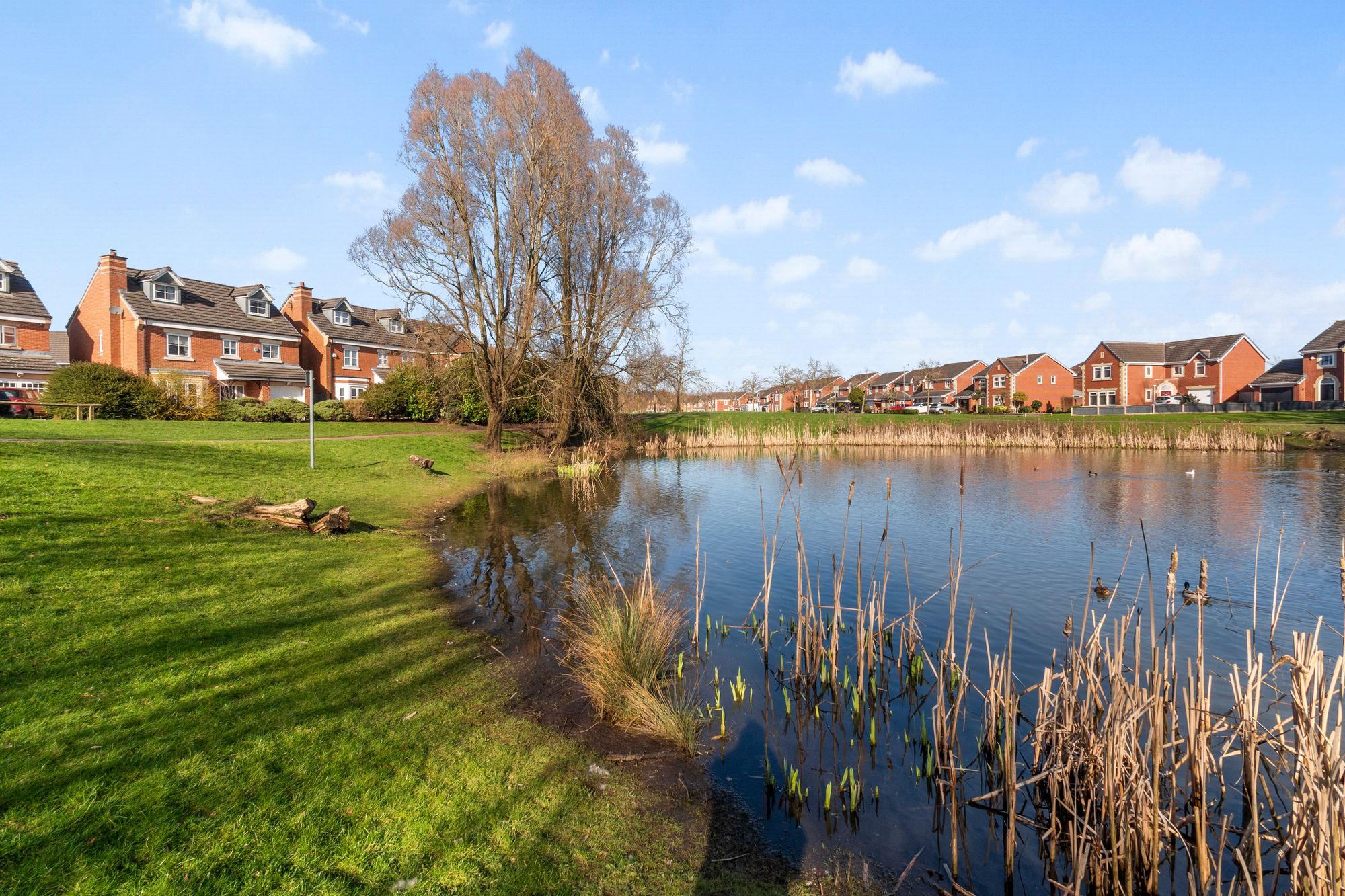 Begonia Gardens, St. Helens, WA9