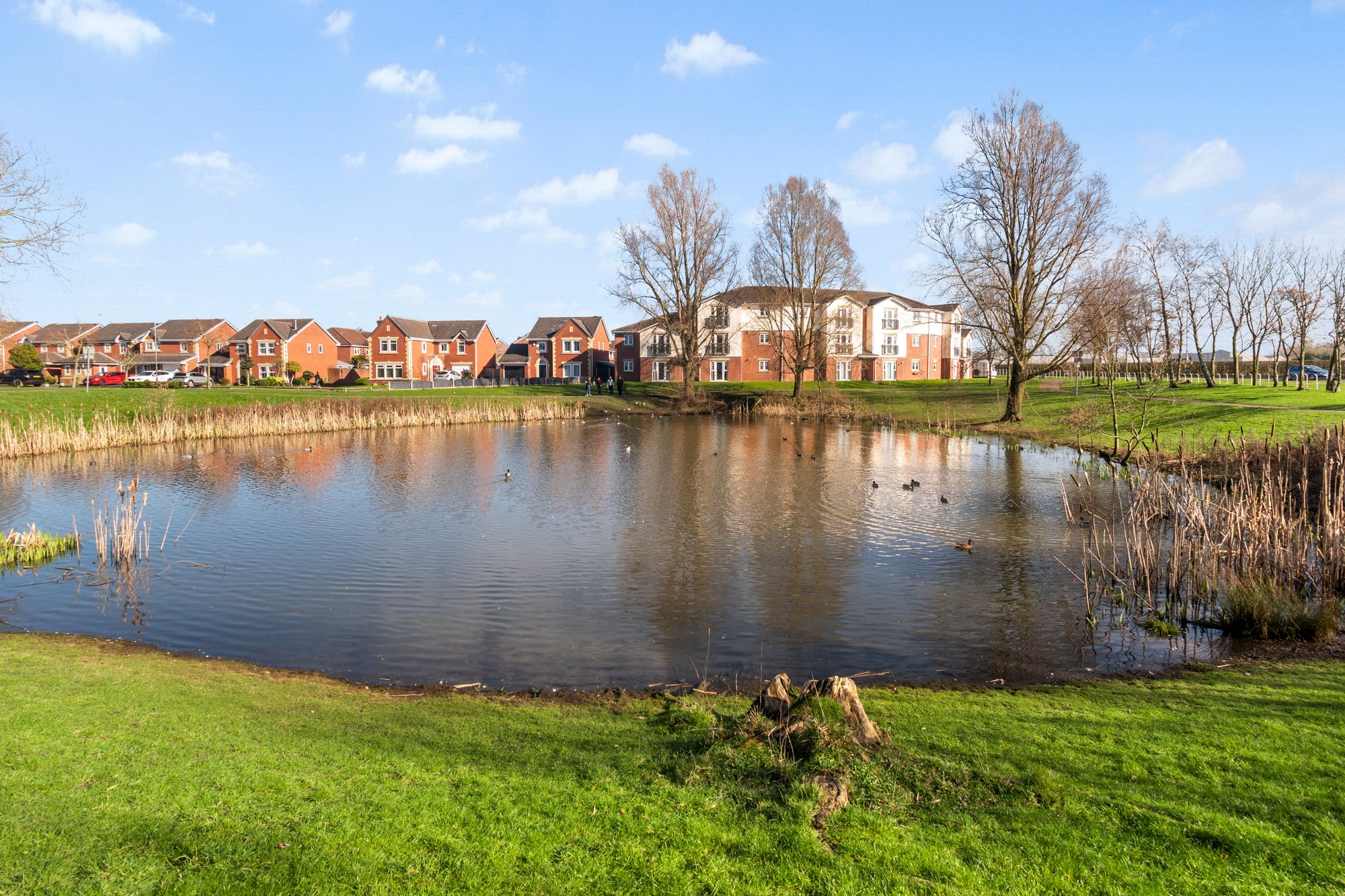 Begonia Gardens, St. Helens, WA9