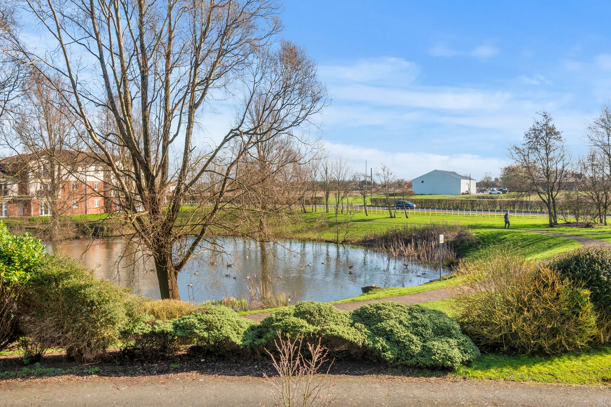 Begonia Gardens, St. Helens, WA9