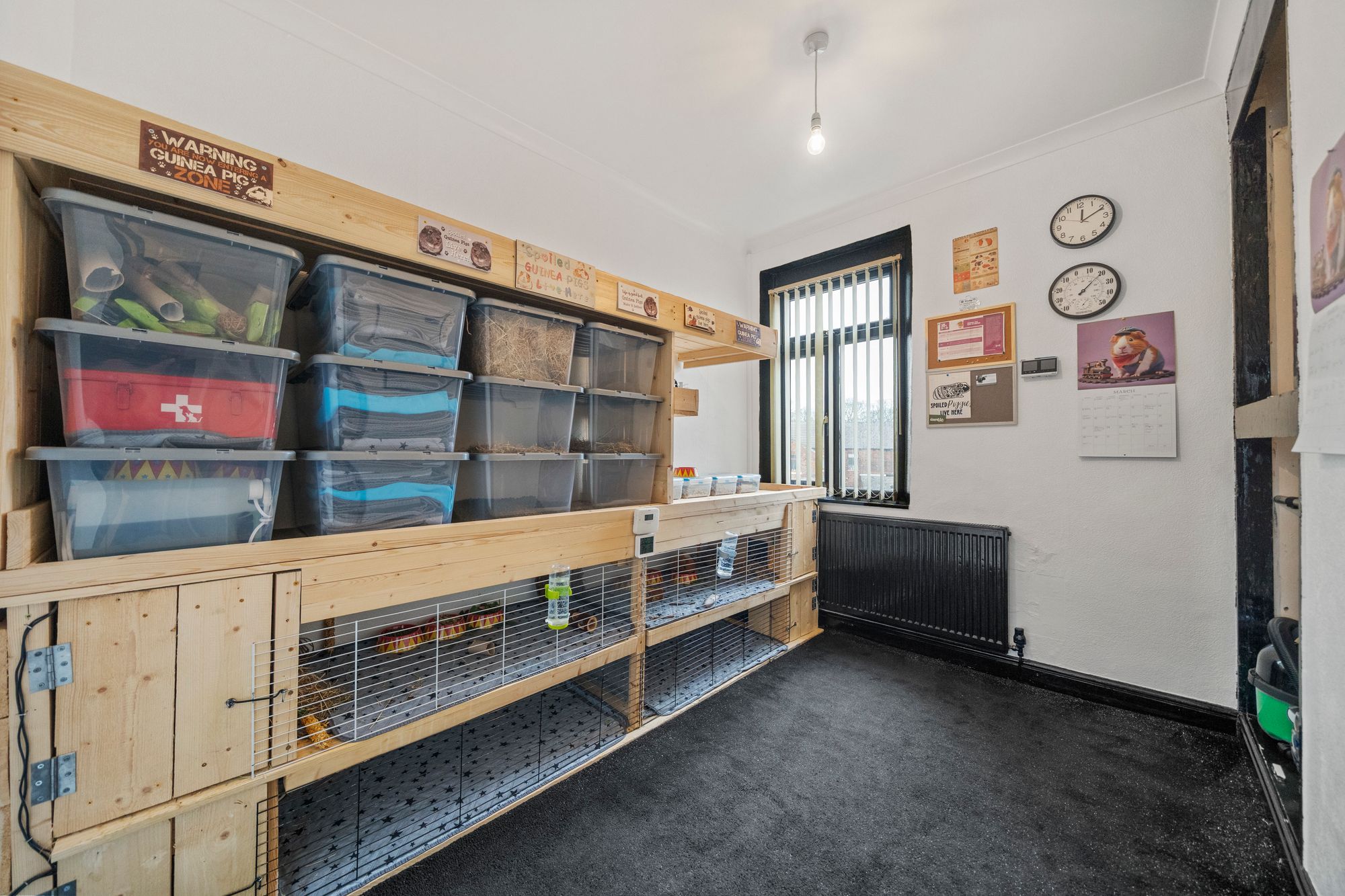 Morden Avenue, Wigan