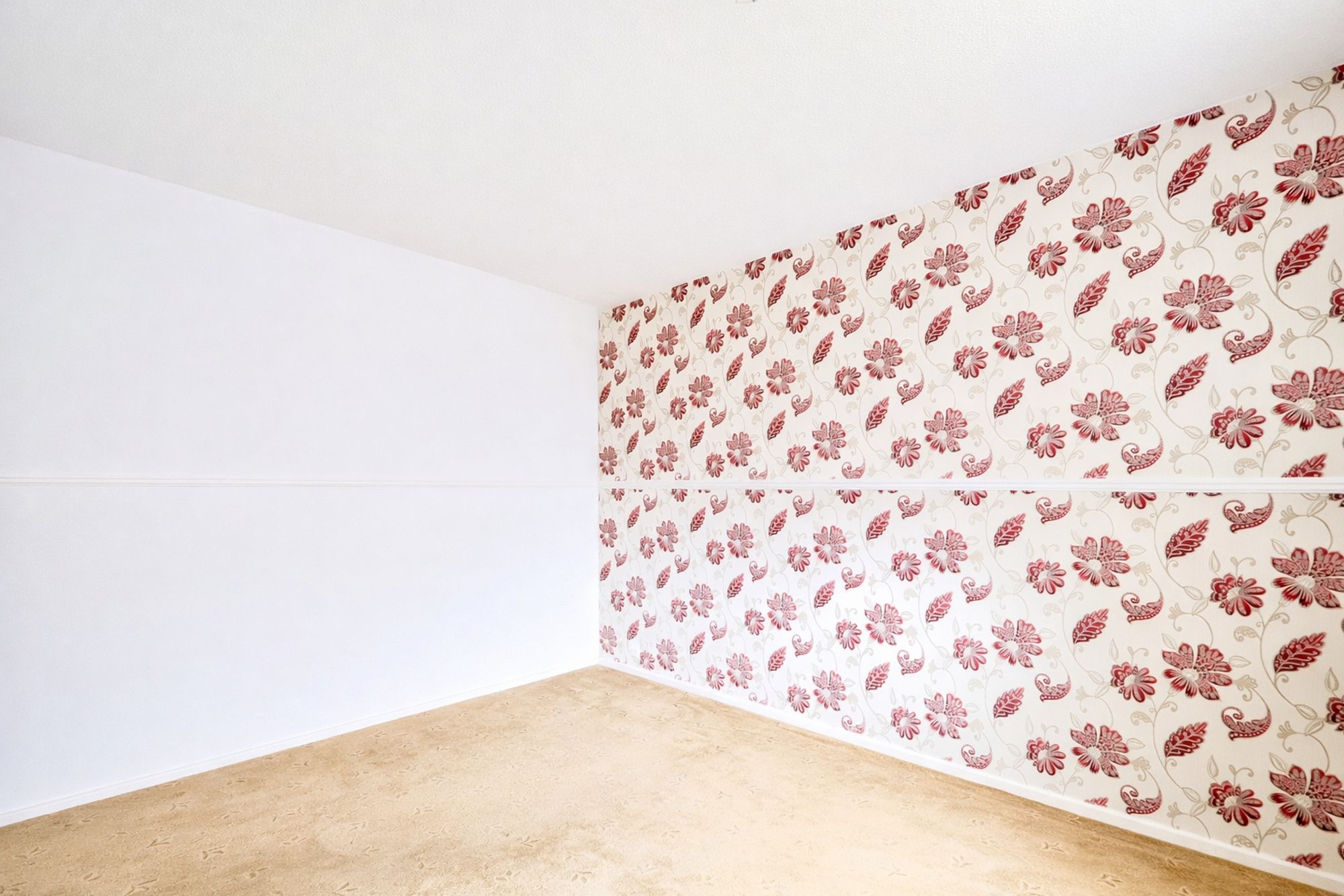 cef451a7-2b32-4f38-af9d-38a5fa7c0d44