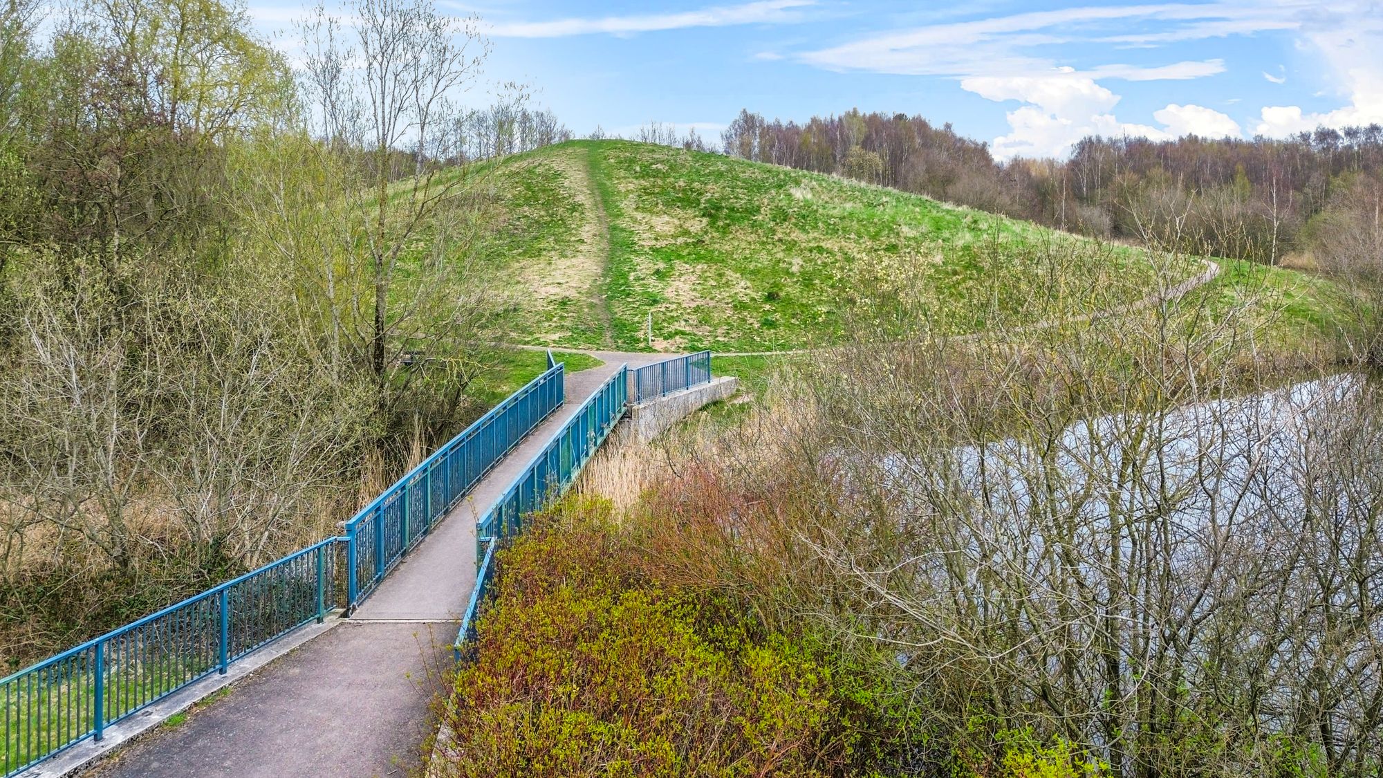 Daffodil Gardens, St. Helens