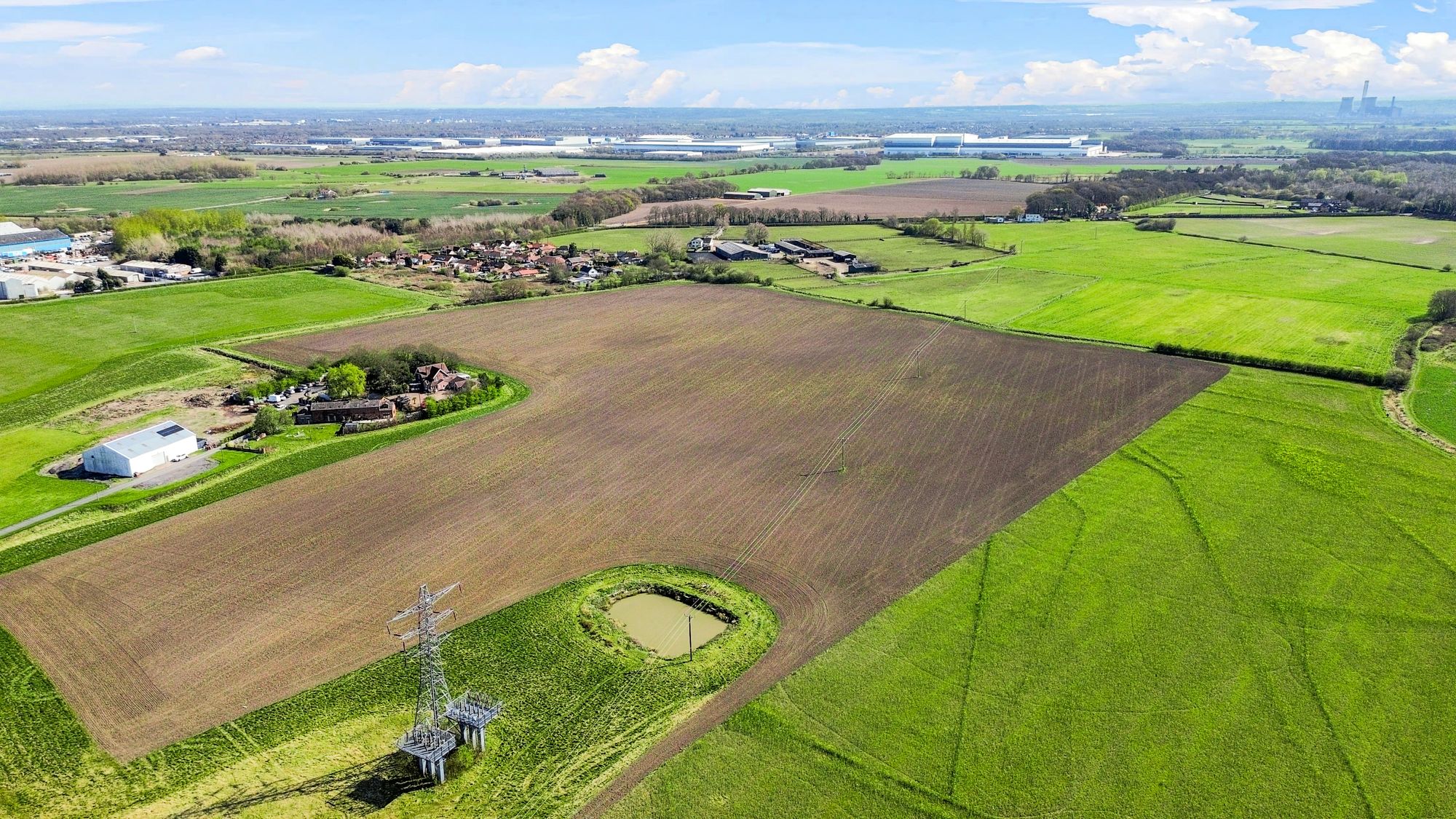 Daffodil Gardens, St. Helens