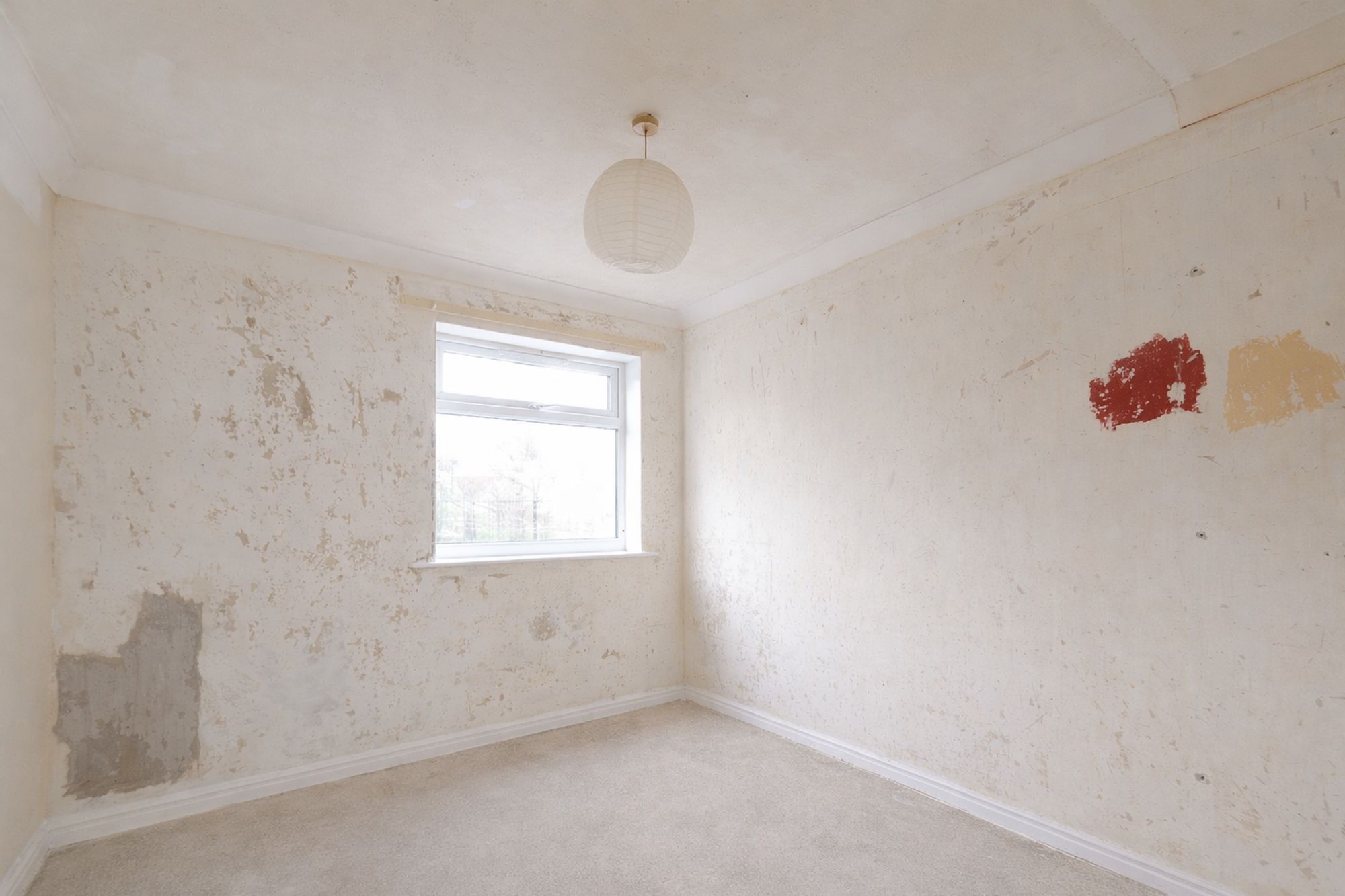 06d11ebf-4a96-4d90-8a22-c55215e48b5a