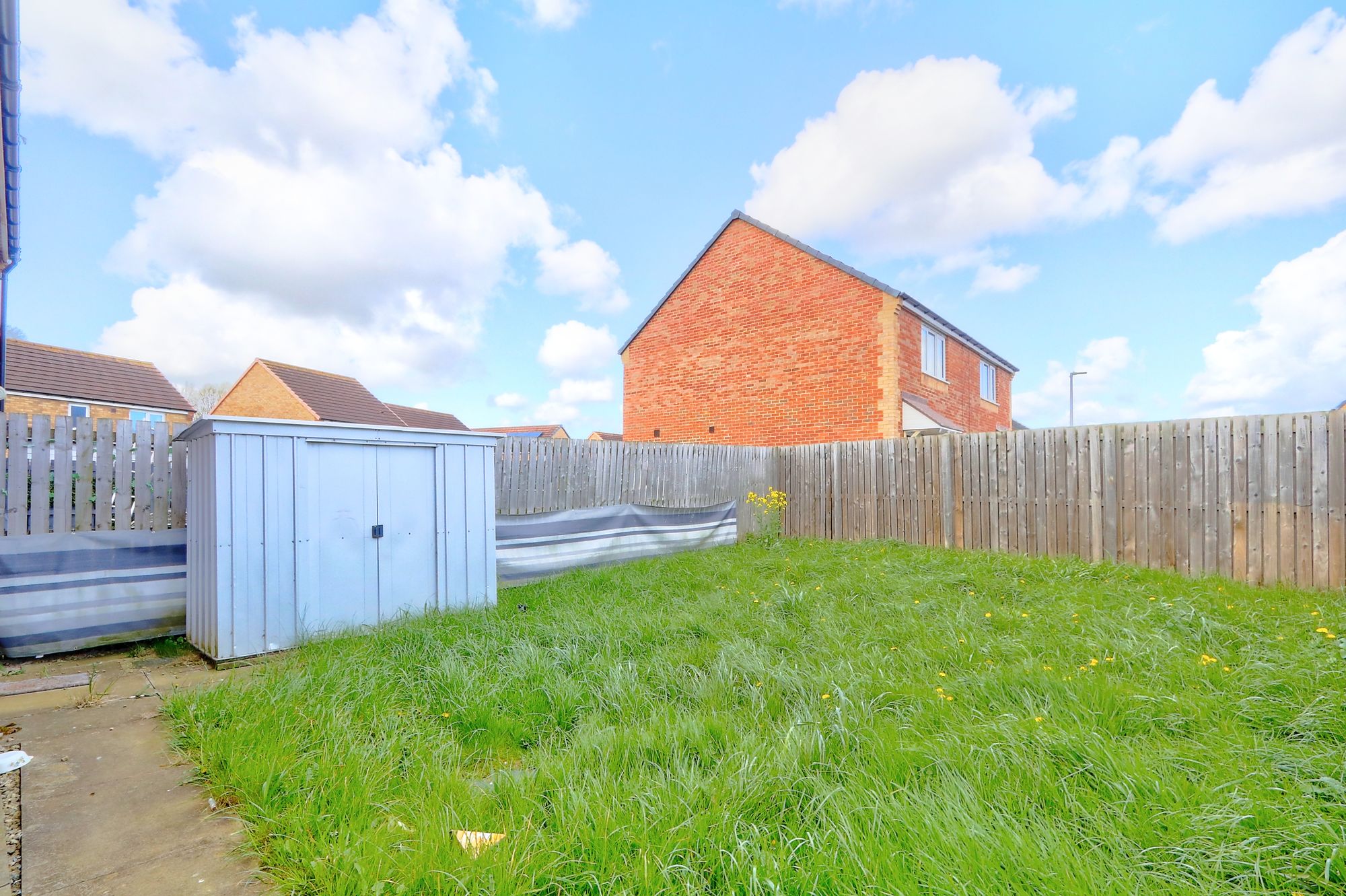 _MG_8239_40_41_Enhancer