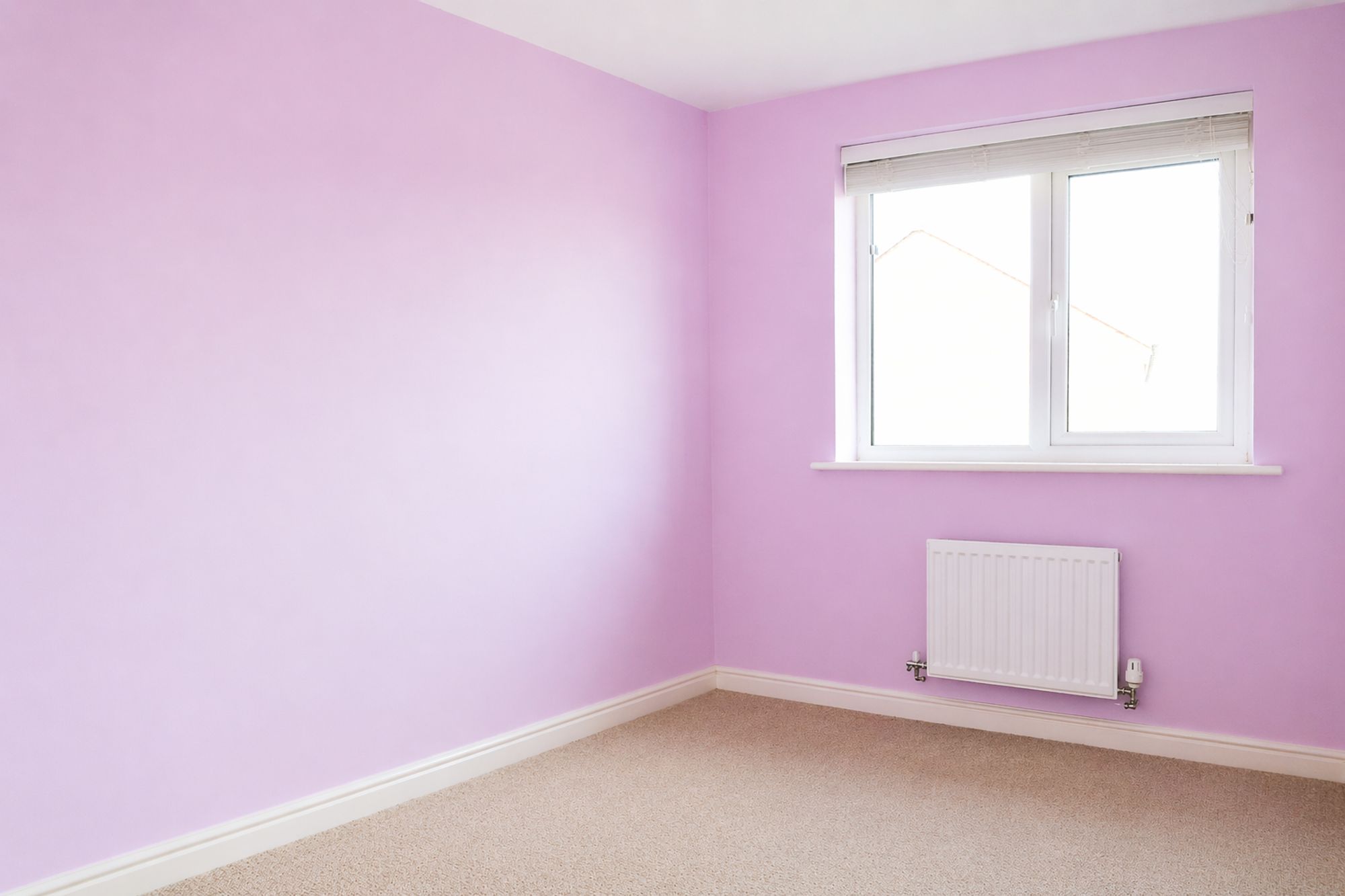 488f5035-a0f2-4727-884c-3e9e708fd5c3