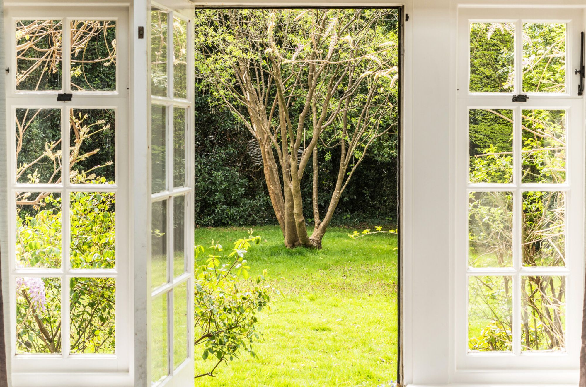 Mill Lane, Langstone, PO9 images