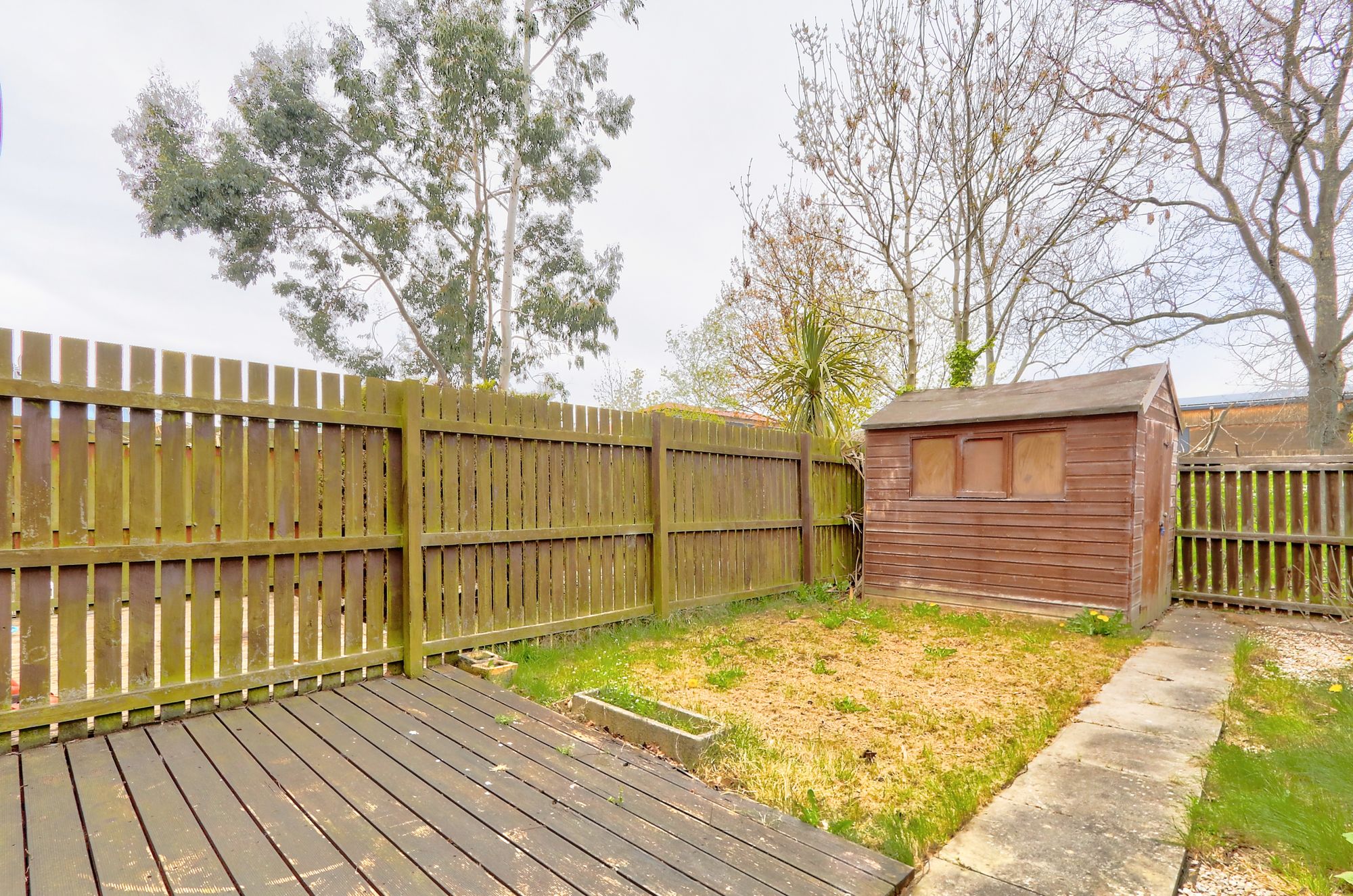 _MG_8419_20_21_Enhancer