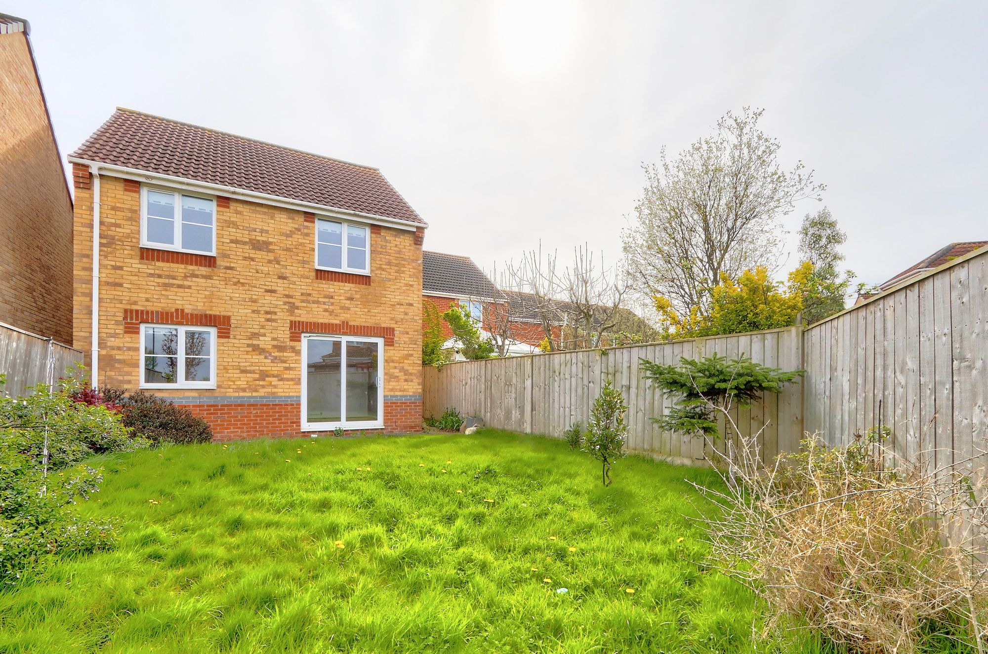 _MG_8581_2_3_Enhancer