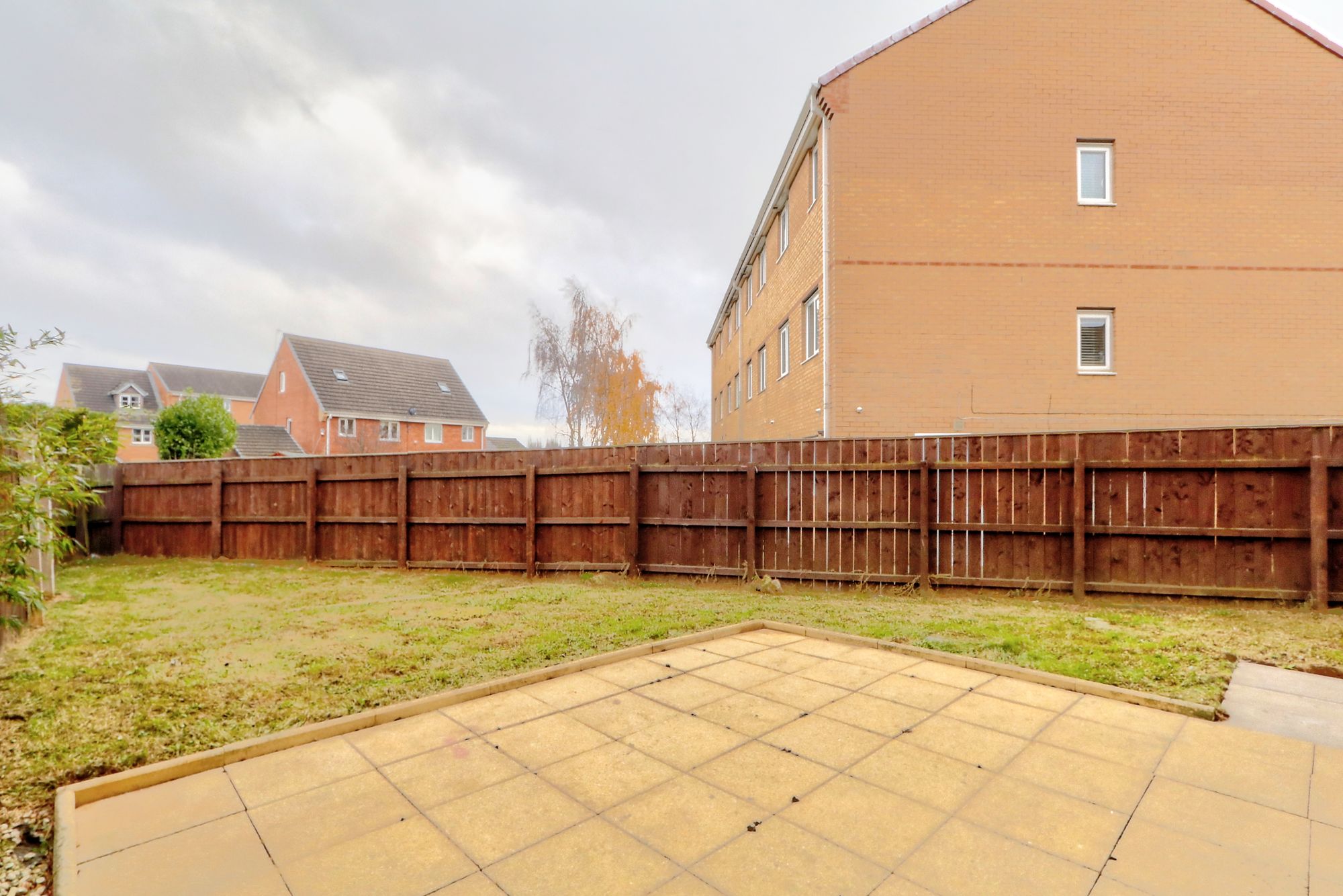 _MG_5158_59_60_Enhancer