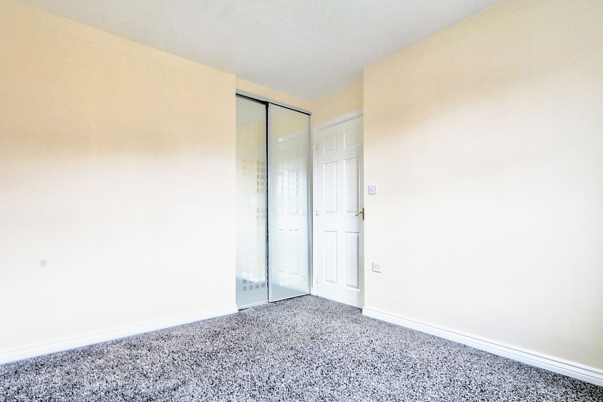 _MG_5242_3_4_Enhancer_Optimizer