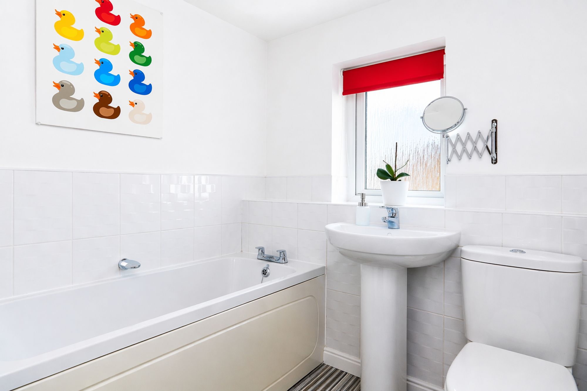 c7793bae-2092-49d1-9650-527de853e791