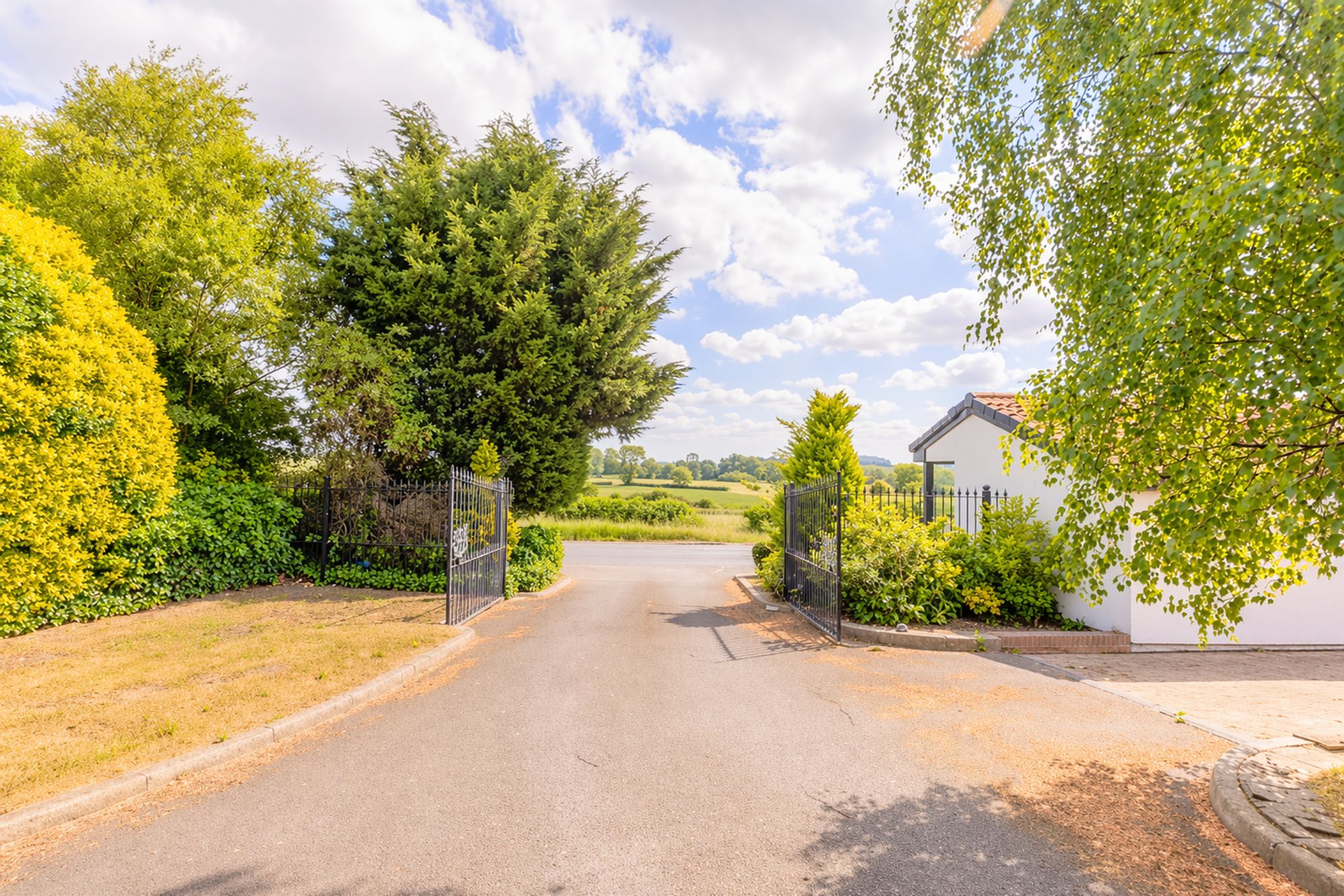 178d2319-1e2a-46e7-a599-de6878f3e33e