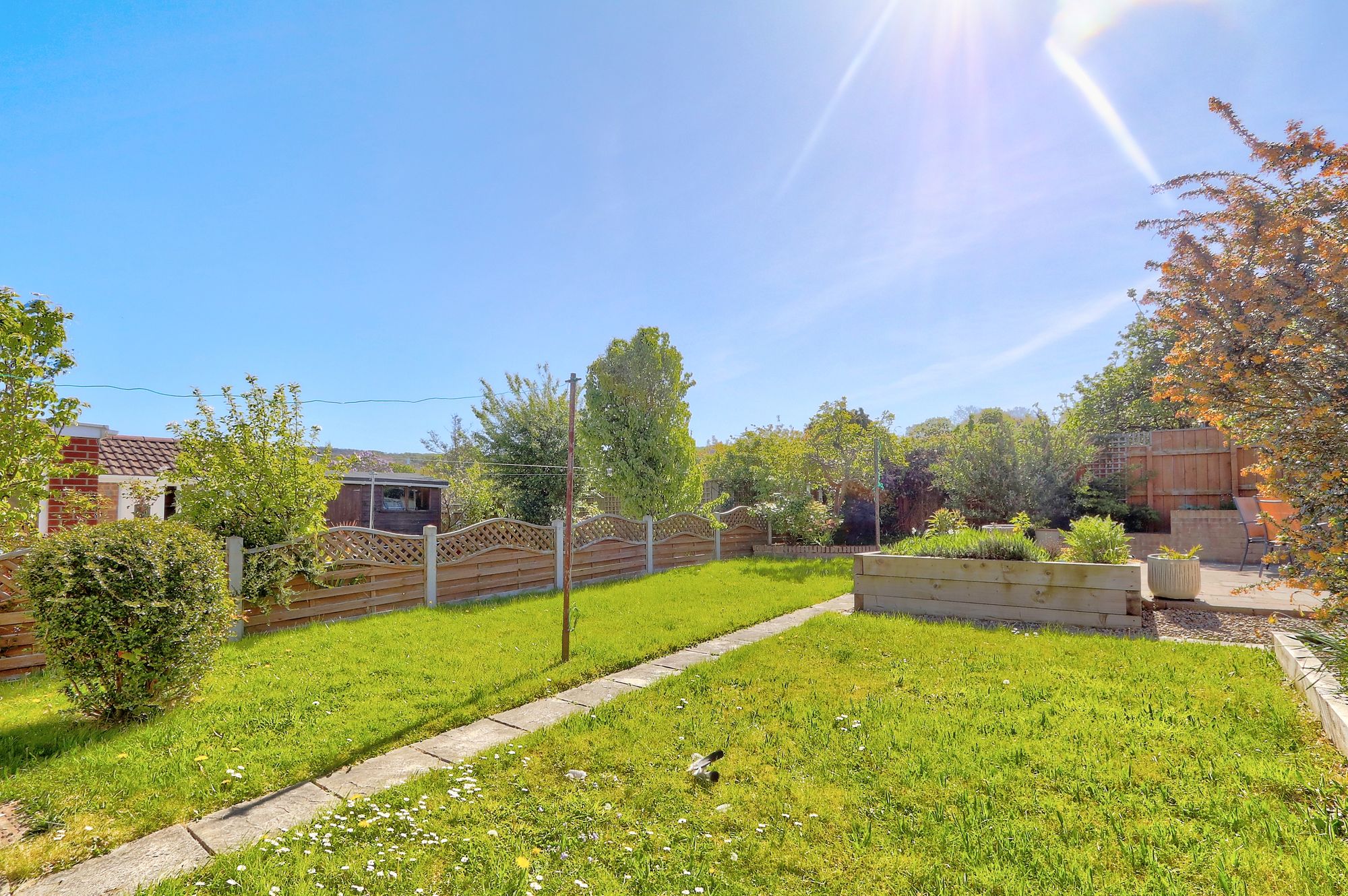 _MG_9850_1_2_Enhancer