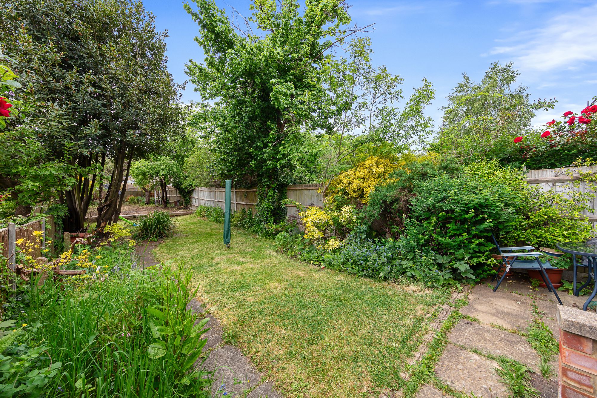 Property Image 14