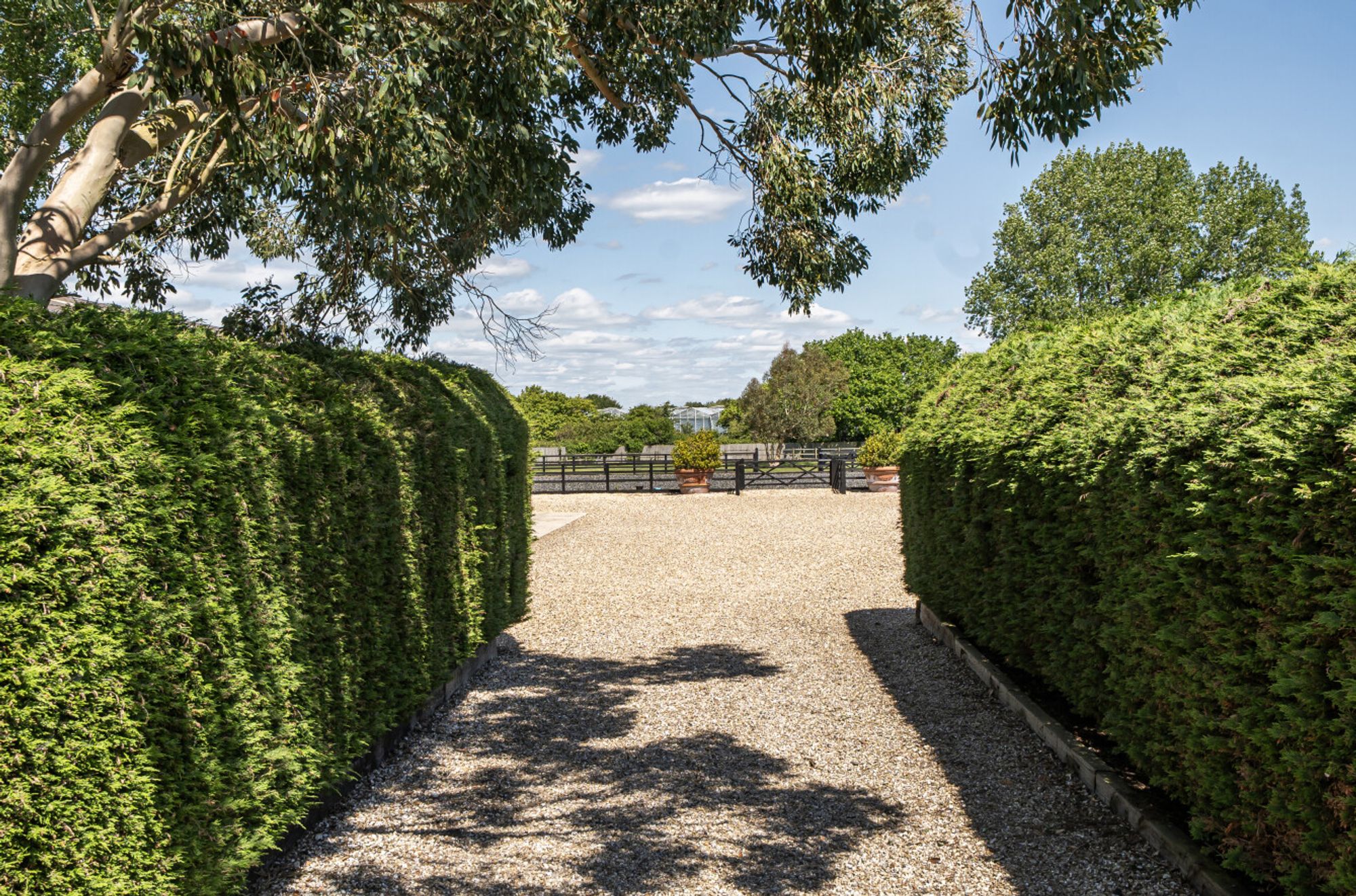 Almodington Lane, Earnley, PO20 images