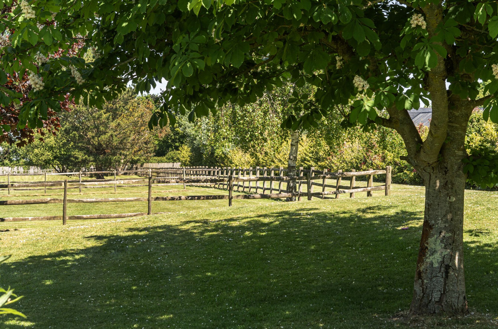 Almodington Lane, Earnley, PO20 images