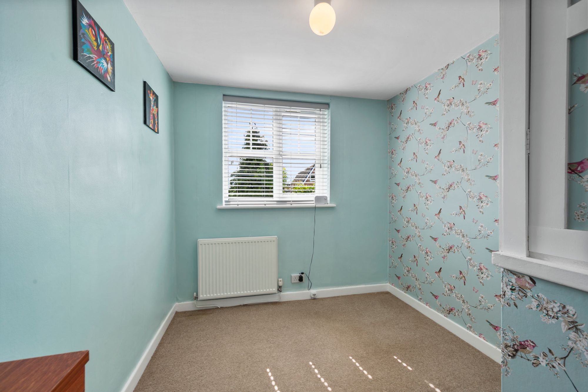 Beech Gardens, St. Helens