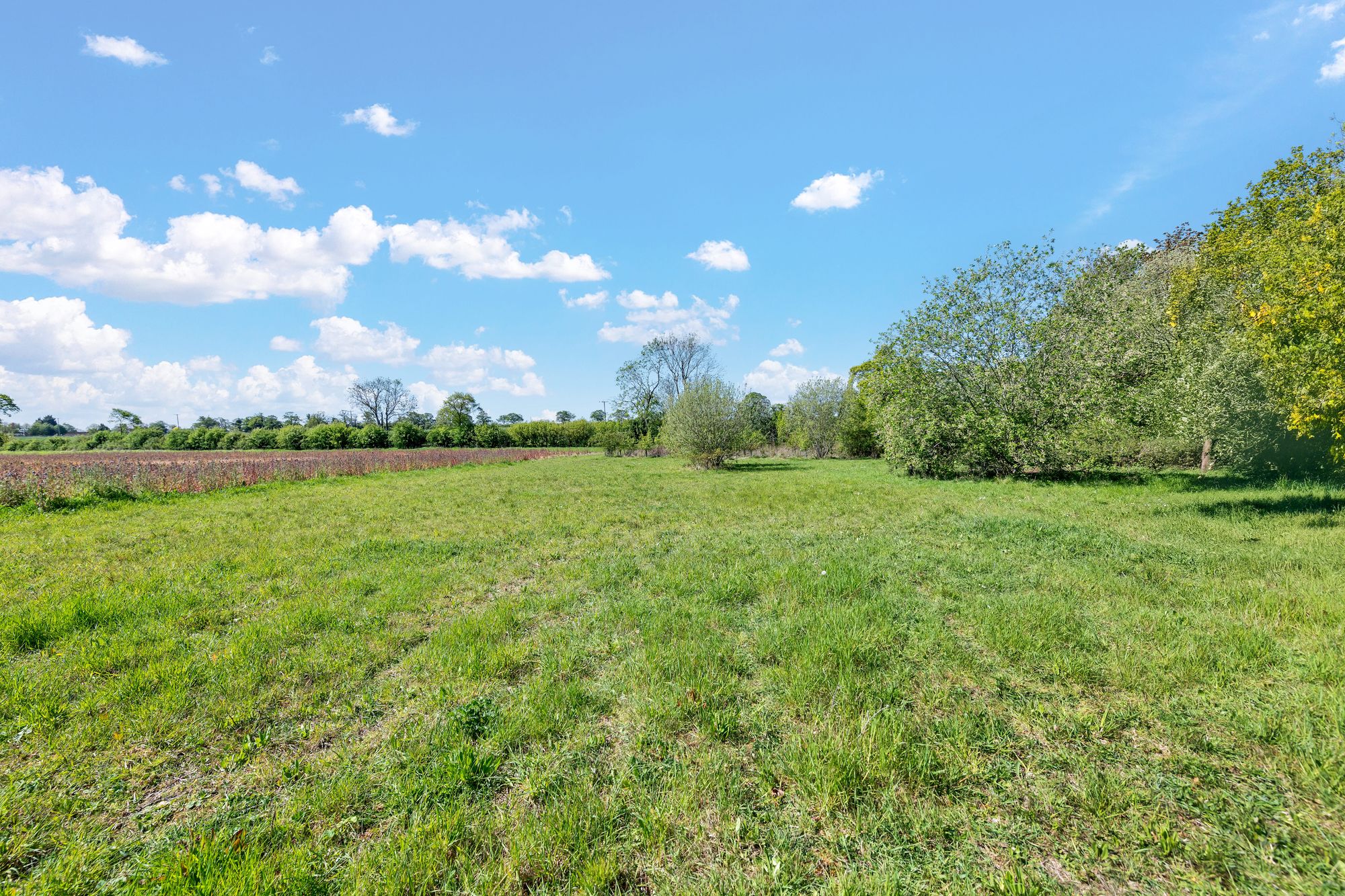 Ermine Way, Arrington, SG8