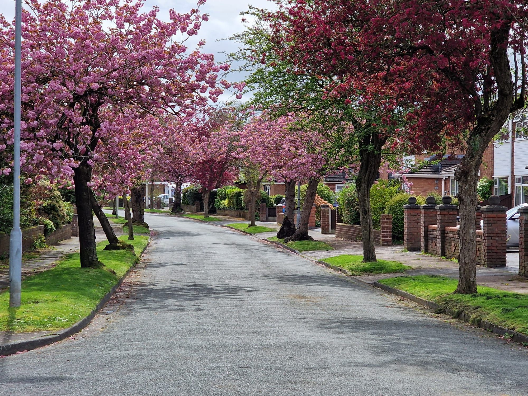 Clarence Avenue, Widnes