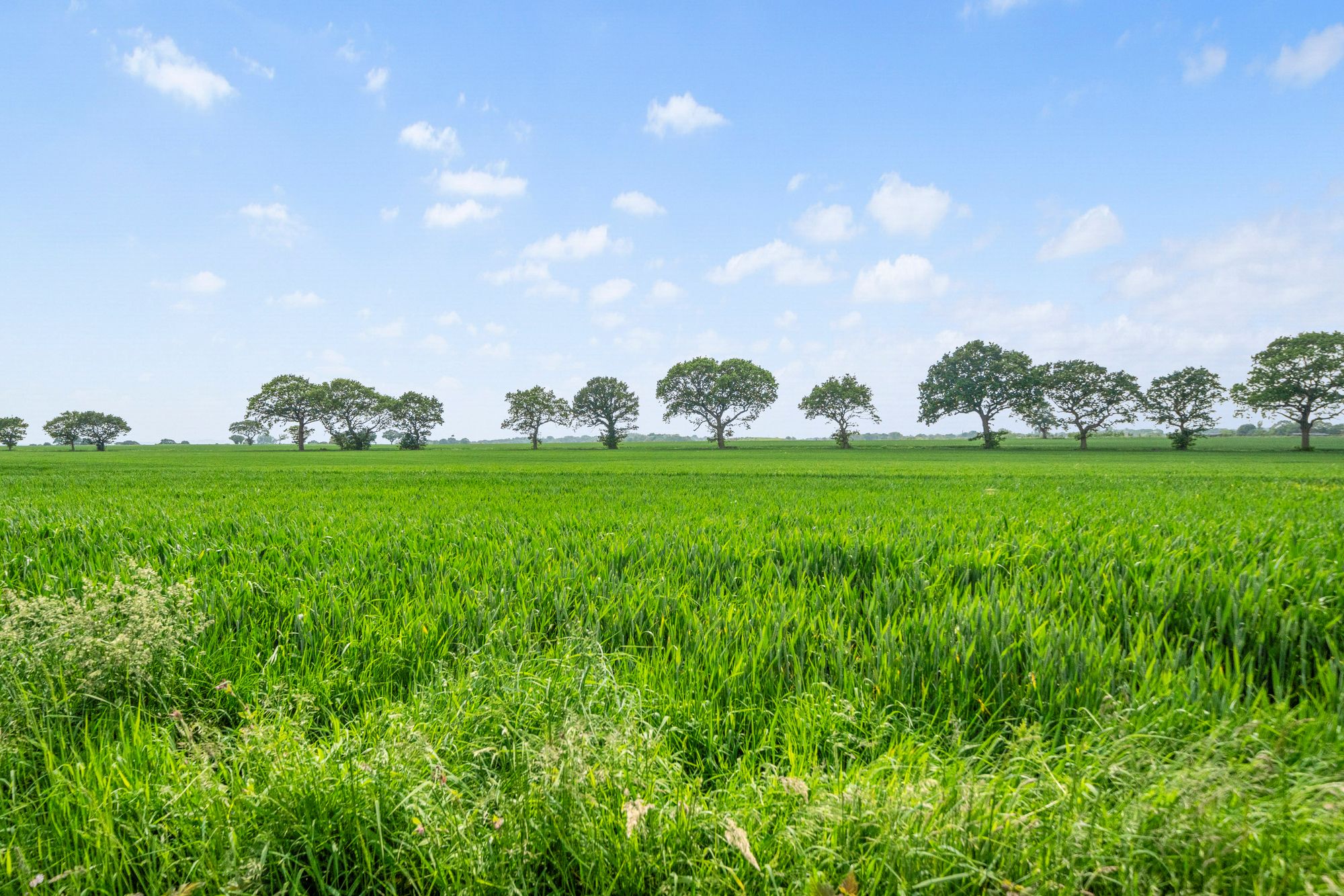 Heath Lane, Croft, WA3