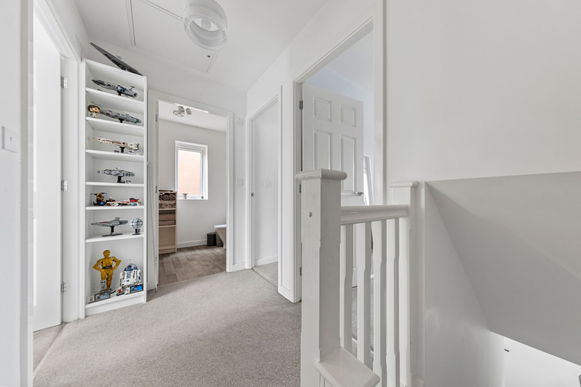 Witton Lake, Great Sankey, WA5