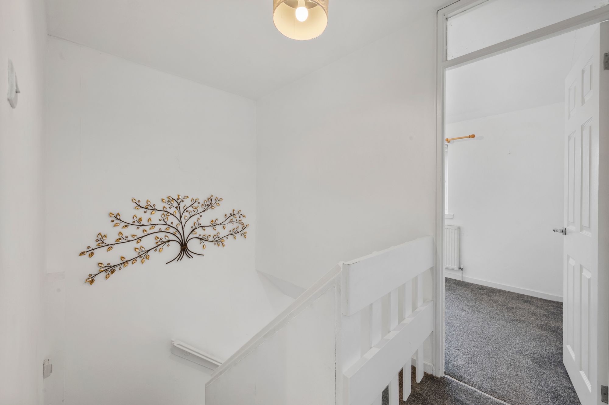 Langtree Street, St. Helens, WA9