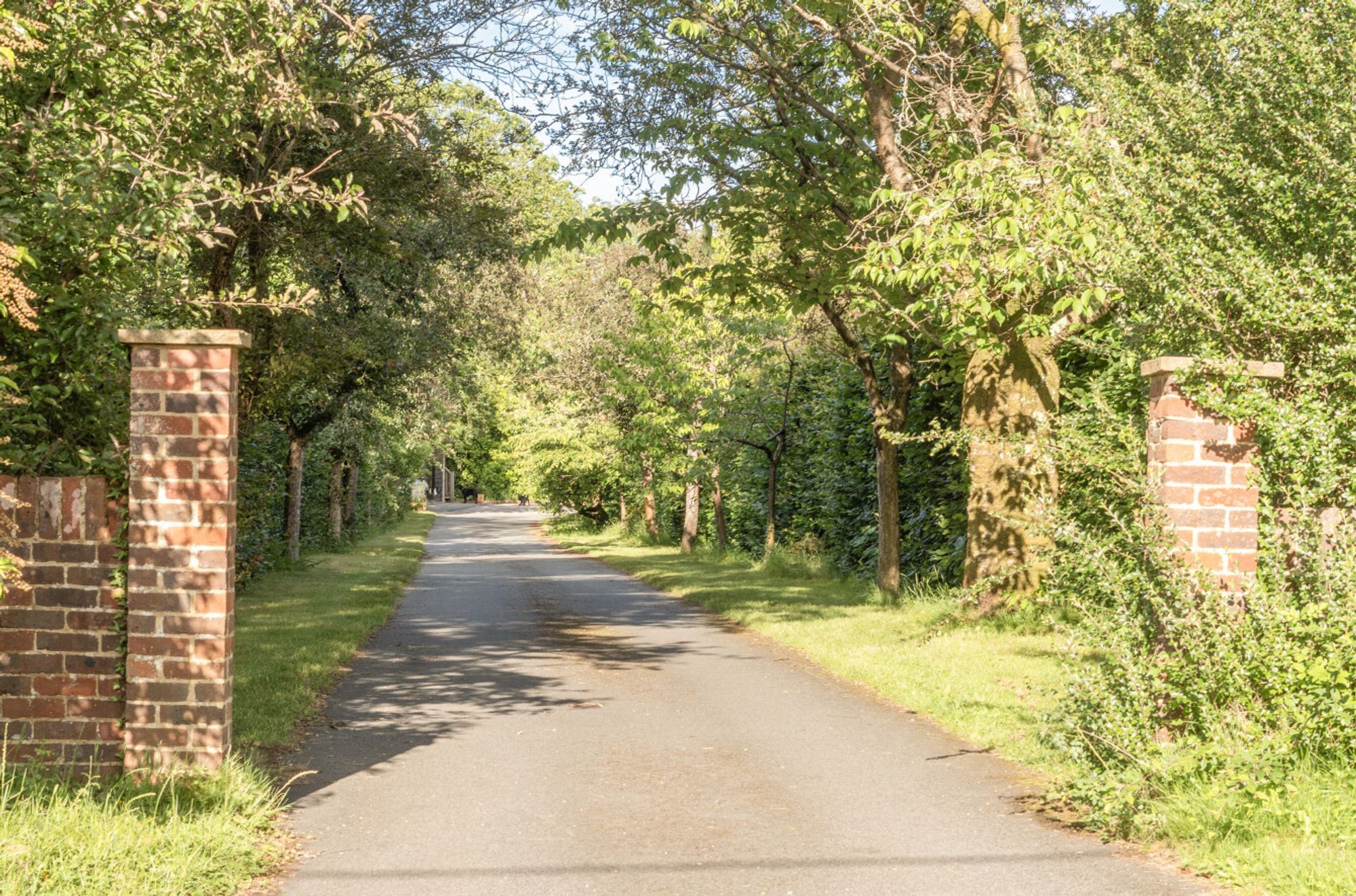 Ballsdown, Chiddingfold, GU8 images